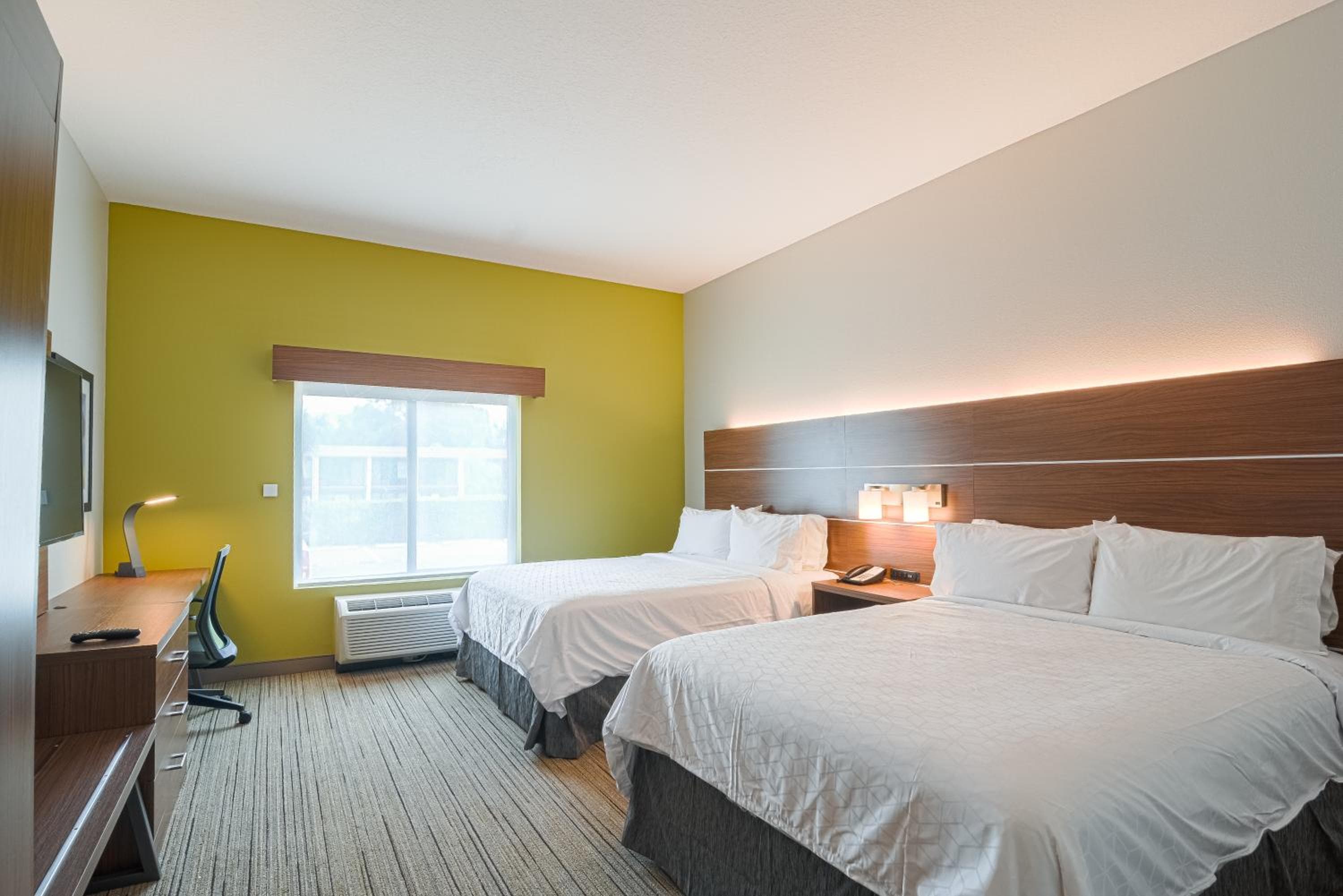 Holiday Inn Express Hotel & Suites Tampa-USF-Busch Gardens by IHG — 4
