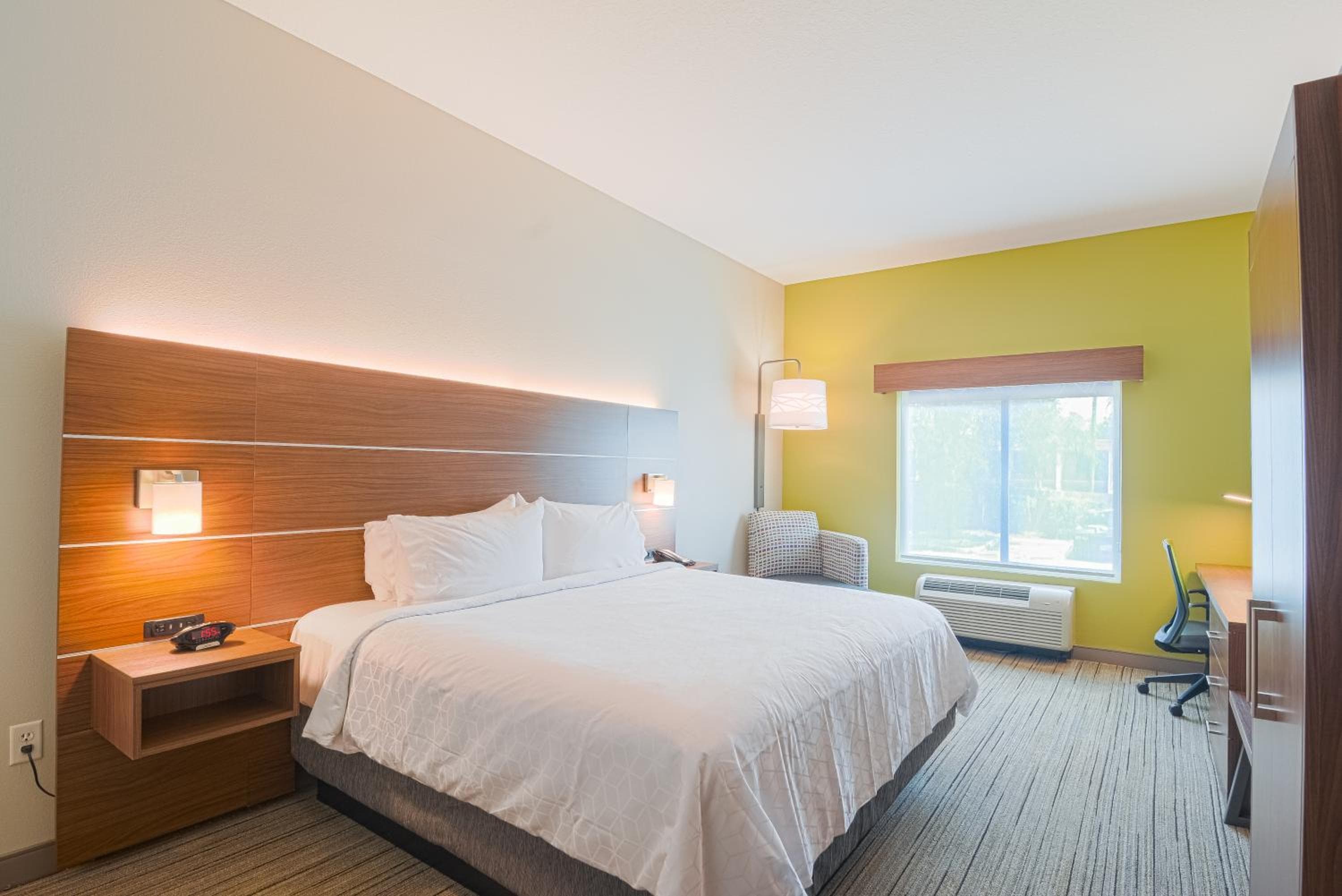 Holiday Inn Express Hotel & Suites Tampa-USF-Busch Gardens by IHG — 5