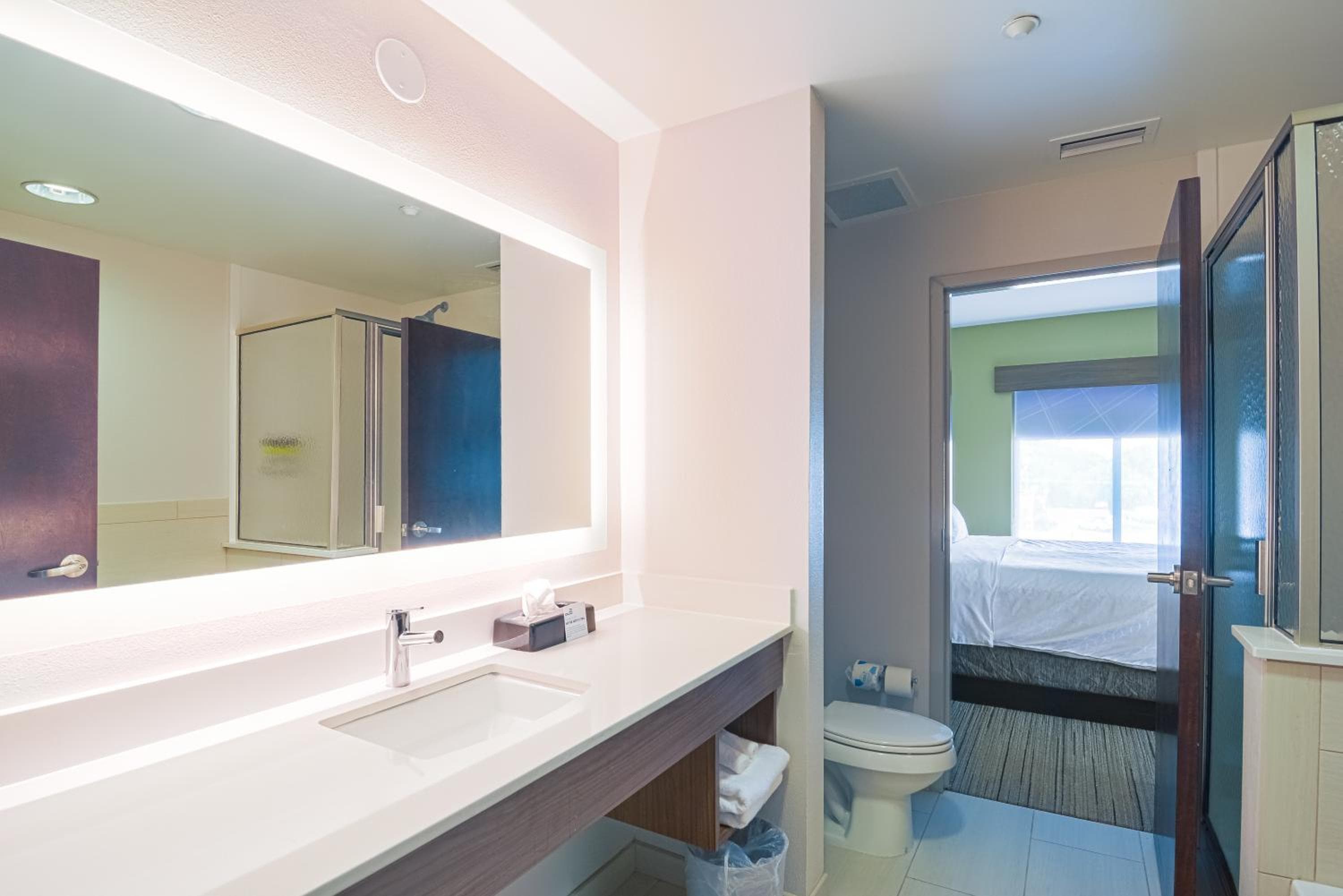 Holiday Inn Express Hotel & Suites Tampa-USF-Busch Gardens by IHG — 11