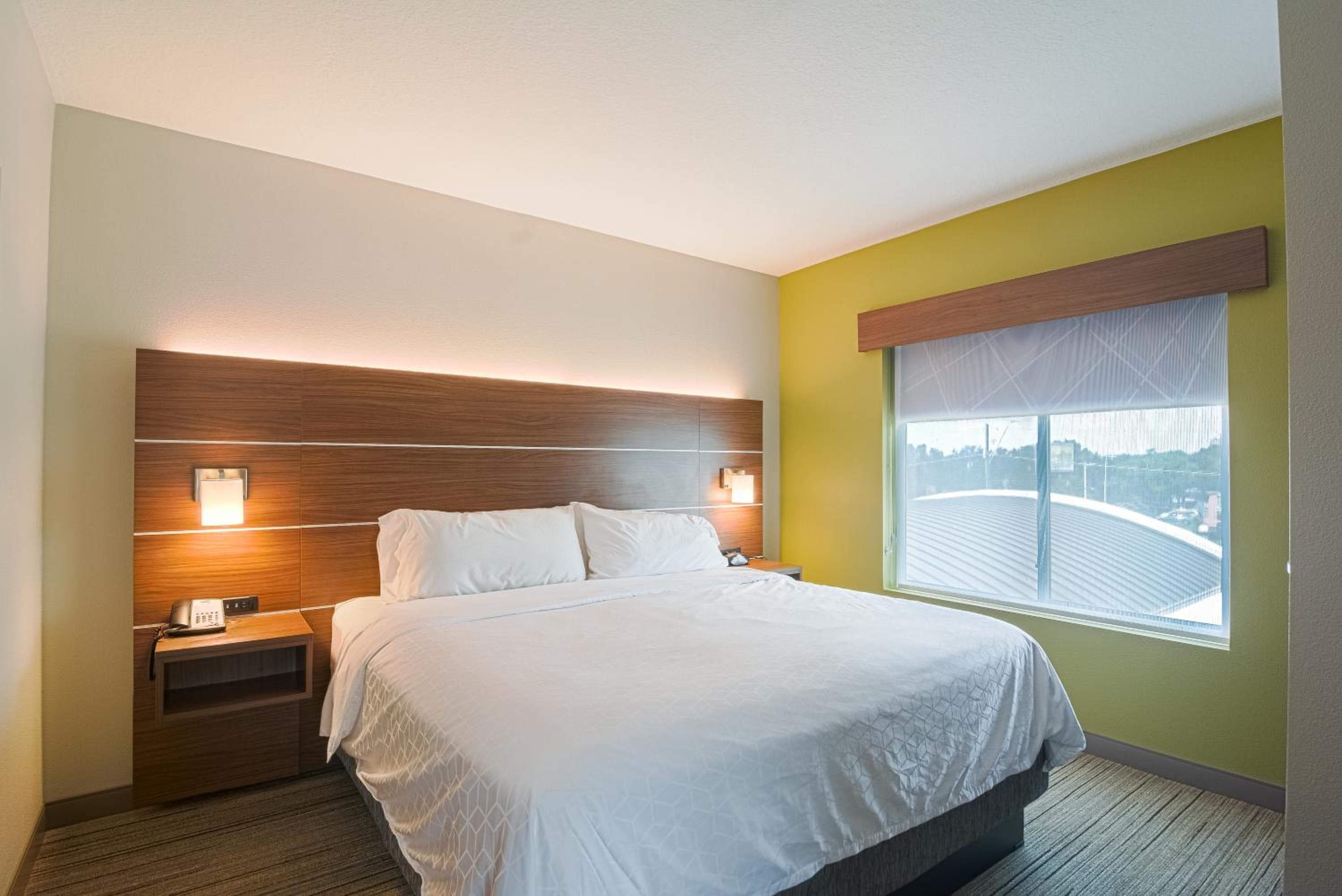 Holiday Inn Express Hotel & Suites Tampa-USF-Busch Gardens by IHG — 12