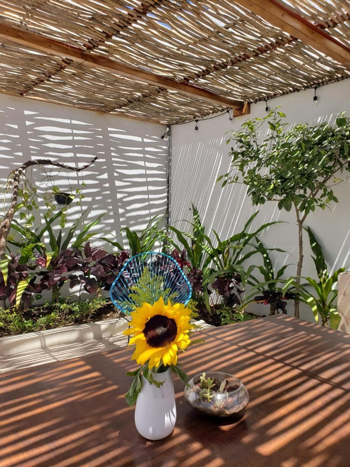 Casa Palo Verde — 3