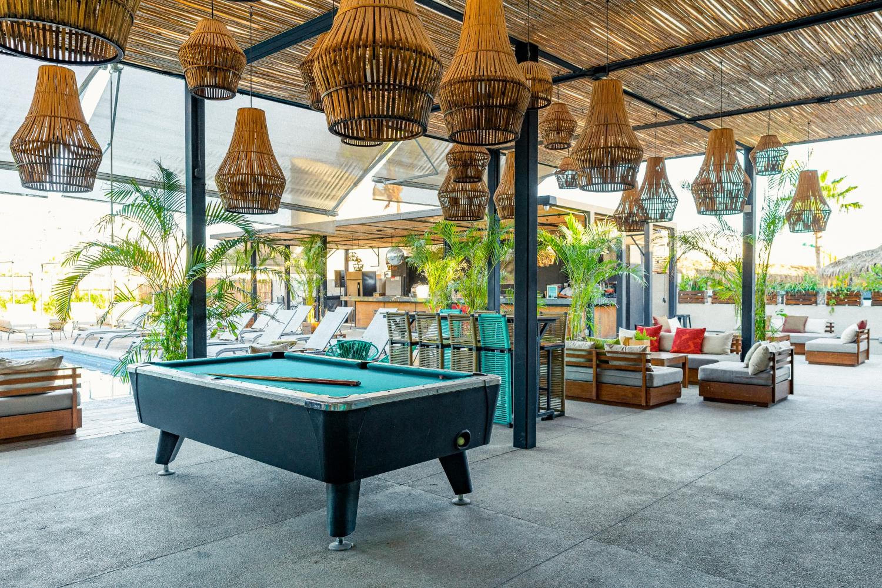 Mayan Monkey Los Cabos - Social Hostel — 8