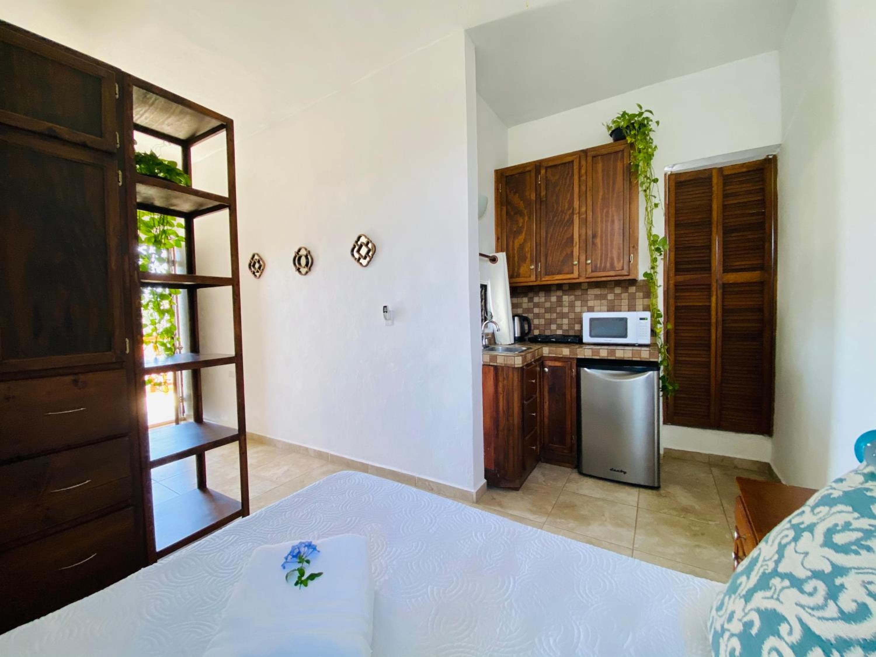 CABO BOHEMIA Tropical Garden Studios — 2