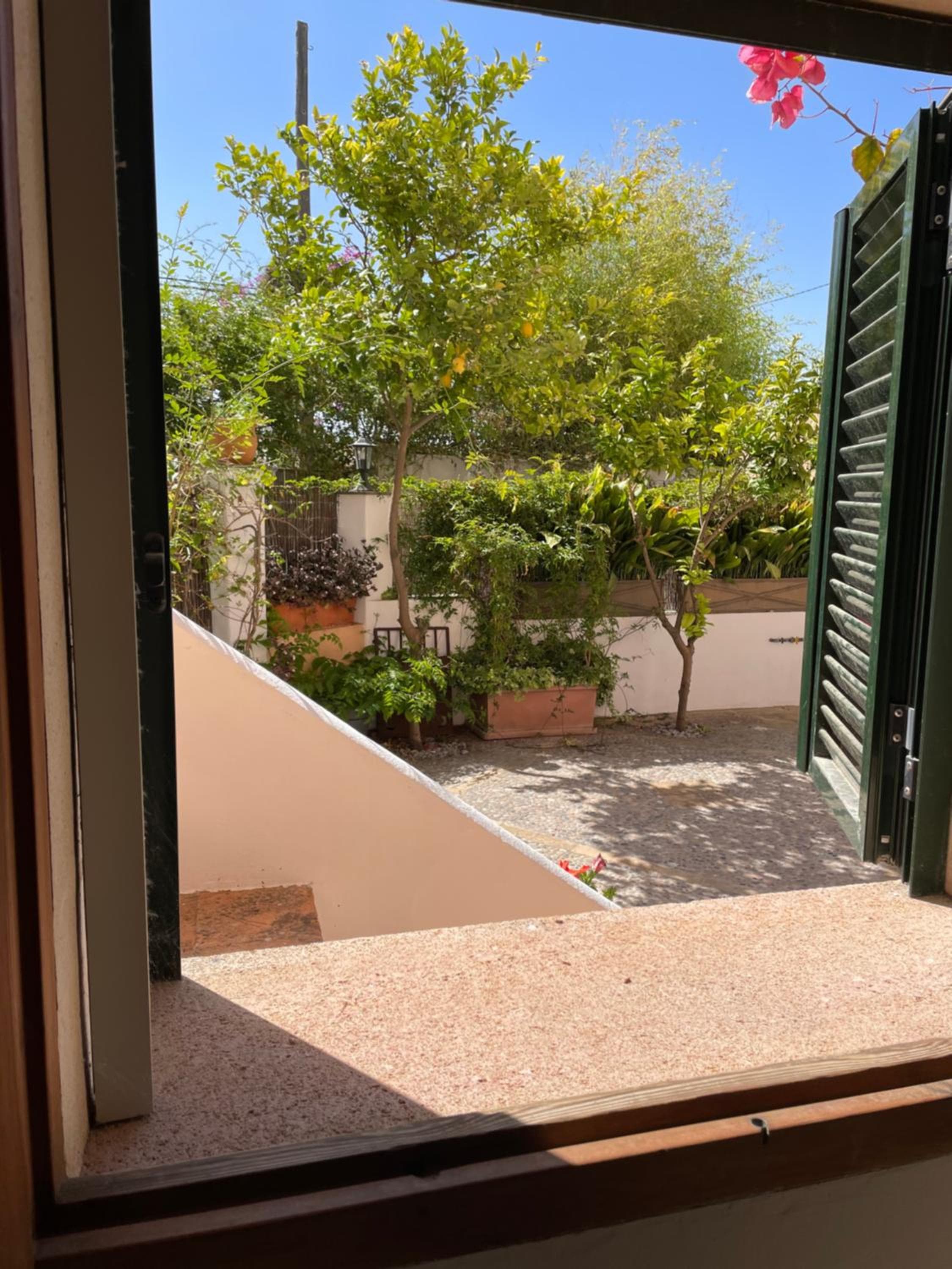 Casita rosa — 12