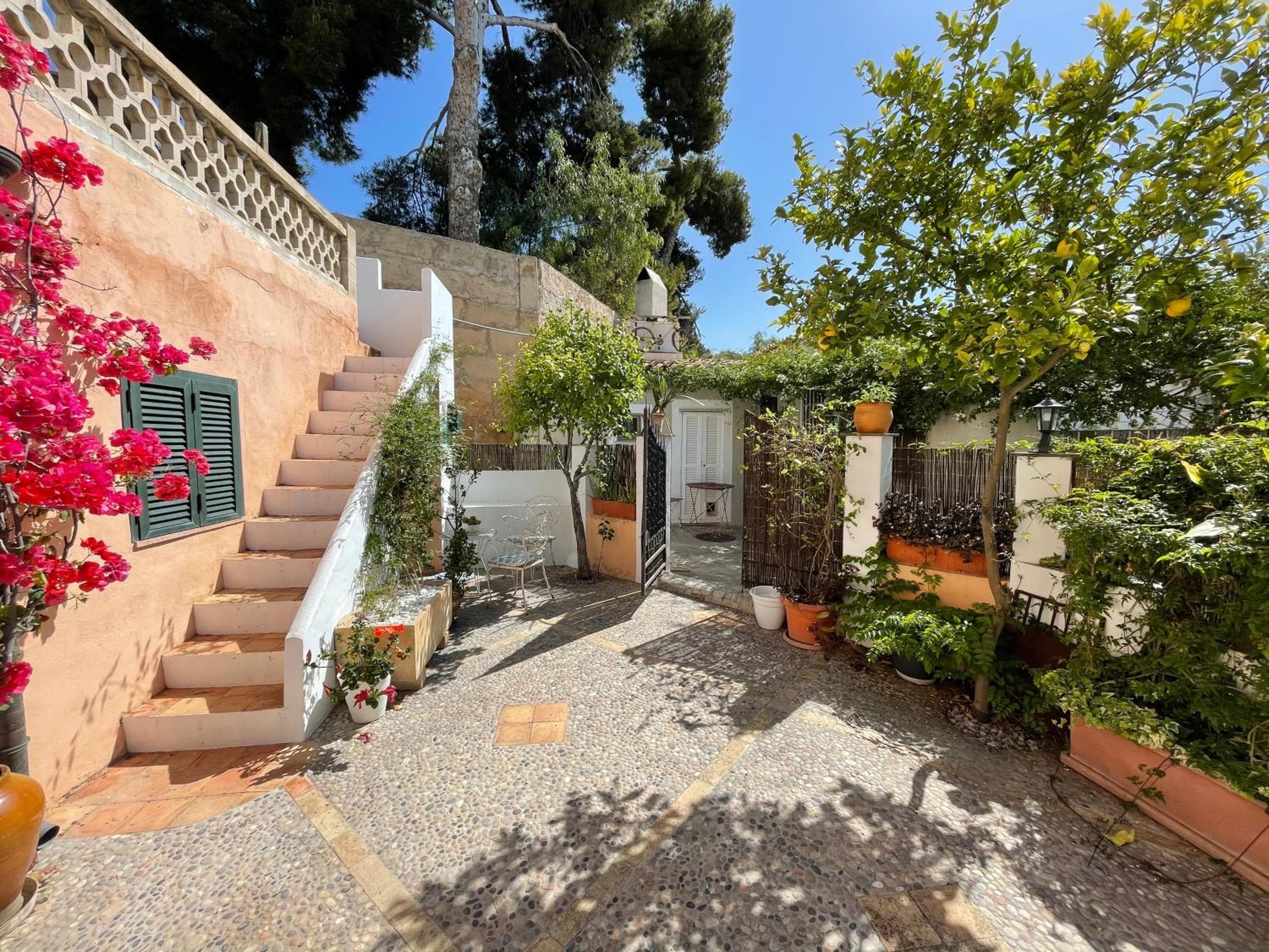 Casita rosa — 11