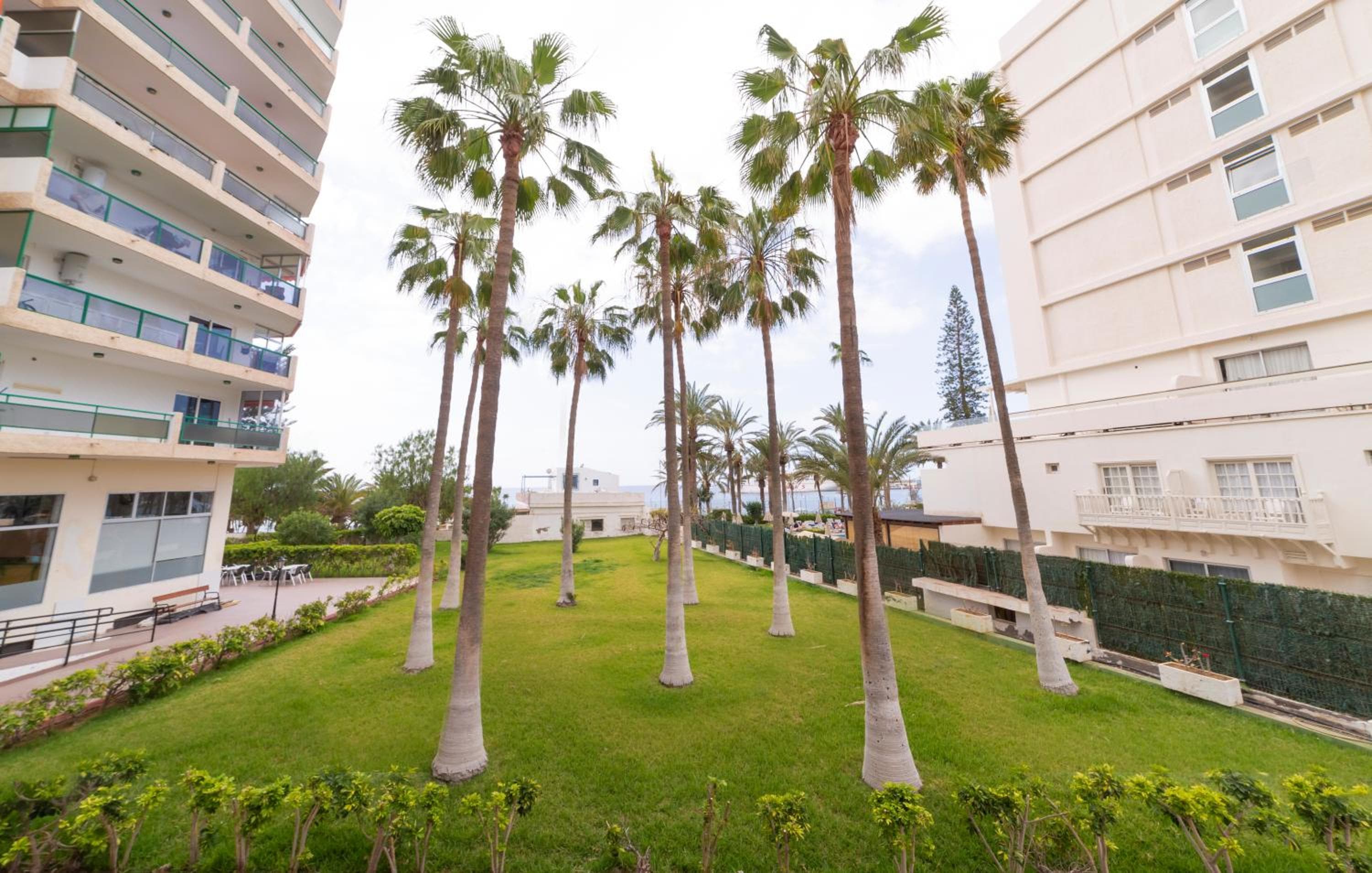 Studio ocean coast Los Cristianos Comodoro — 5