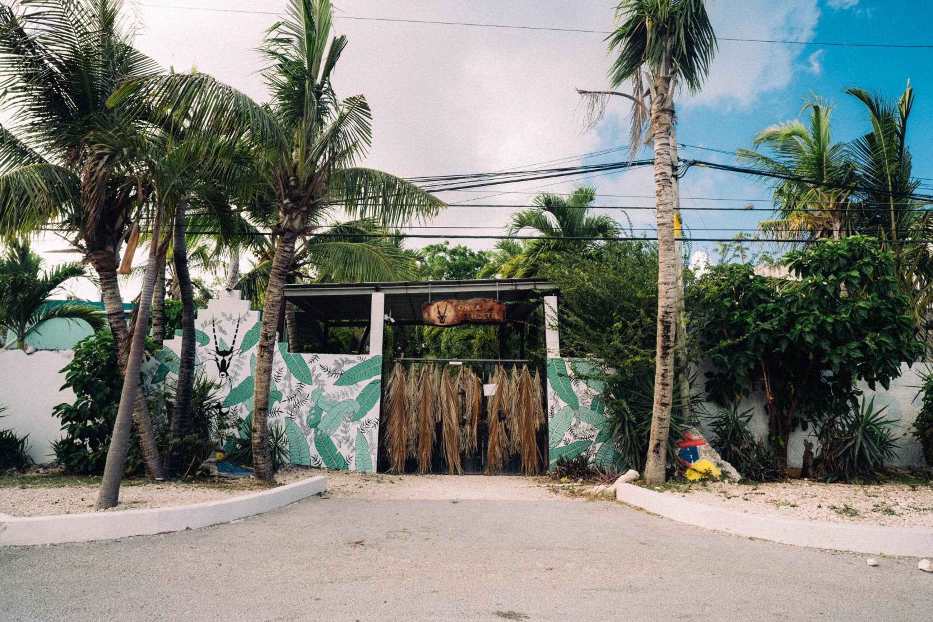 Hostel Oryx Tulum — 30