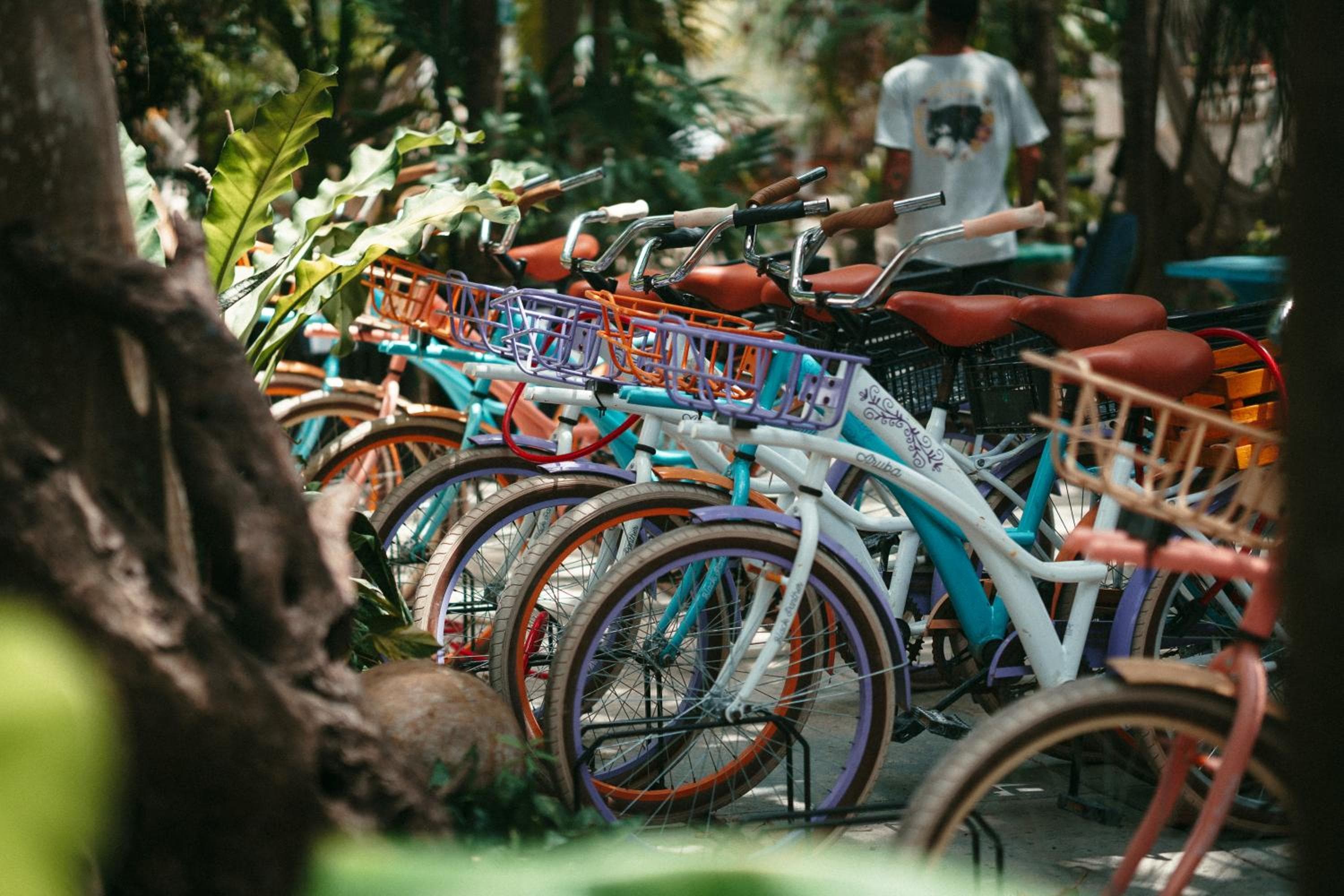Hostel Oryx Tulum — 6