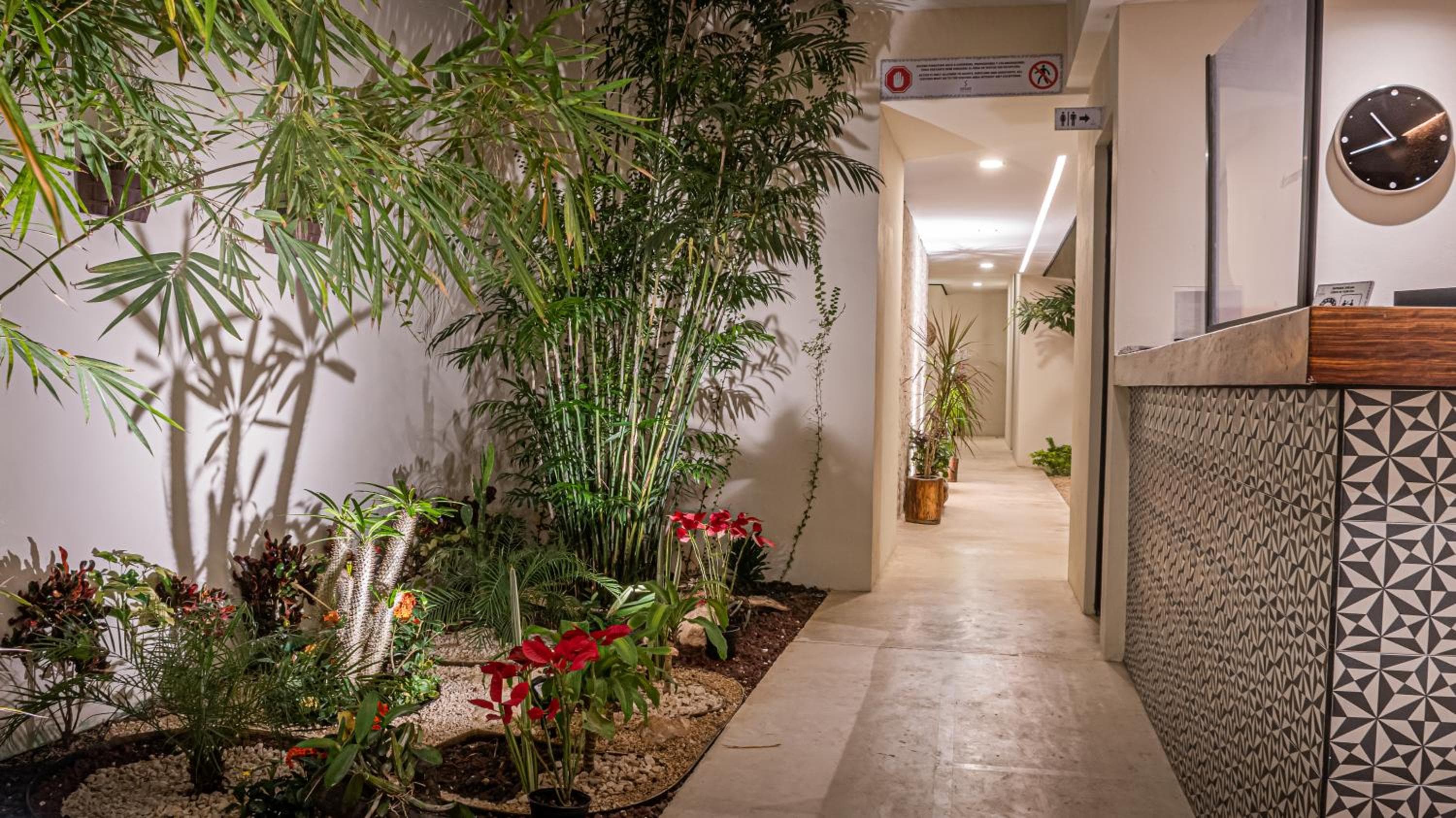 Moonshine Tulum Hotel & Hostel — 10