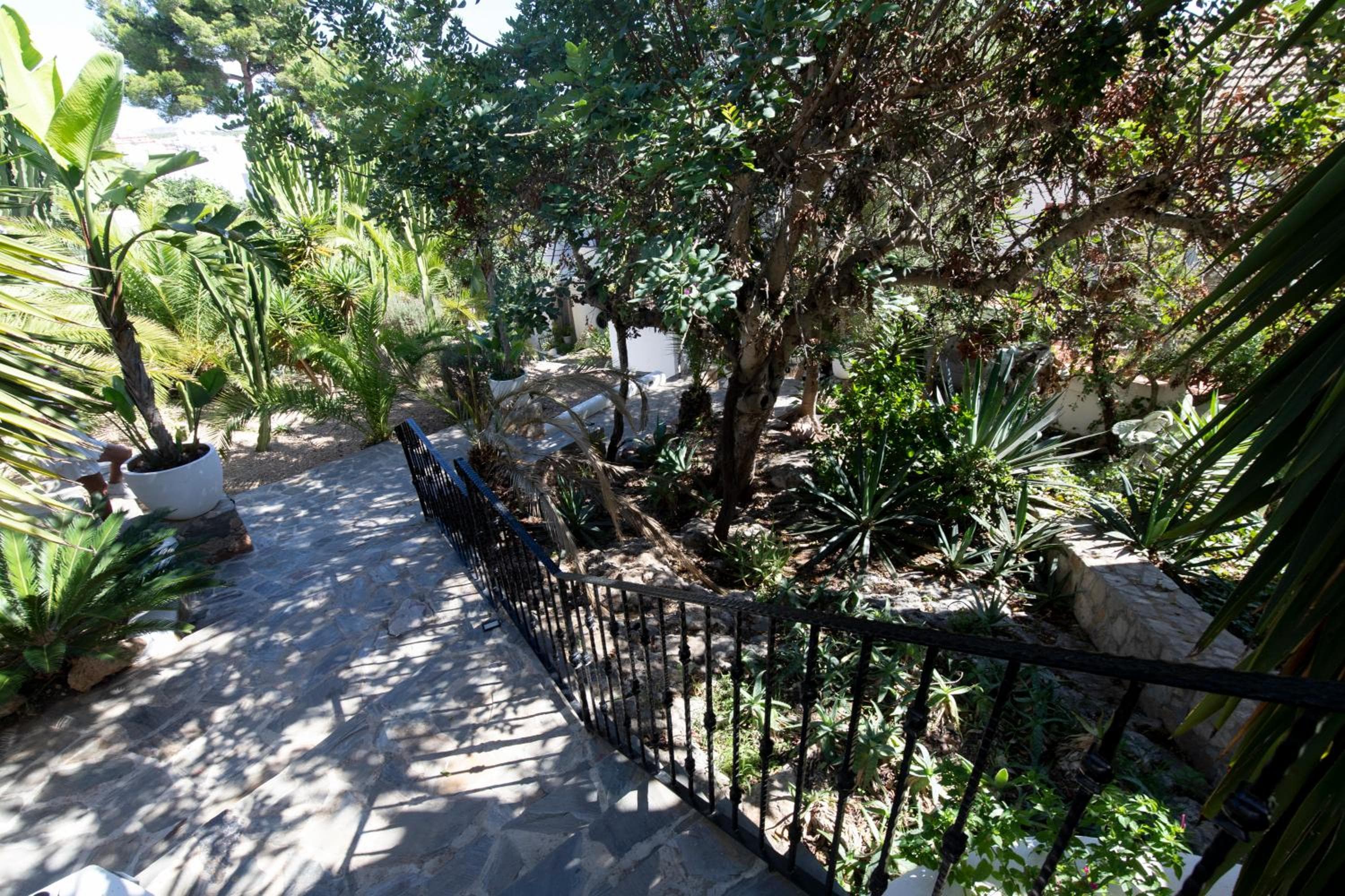 Buenavista & Suites — 3