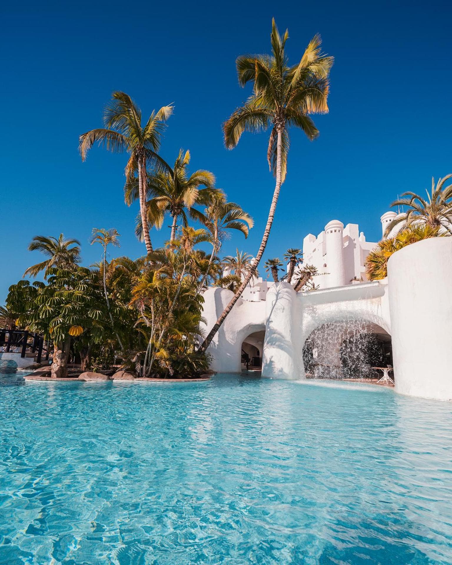 Hyatt Ziva Jardín Tropical Tenerife — 8