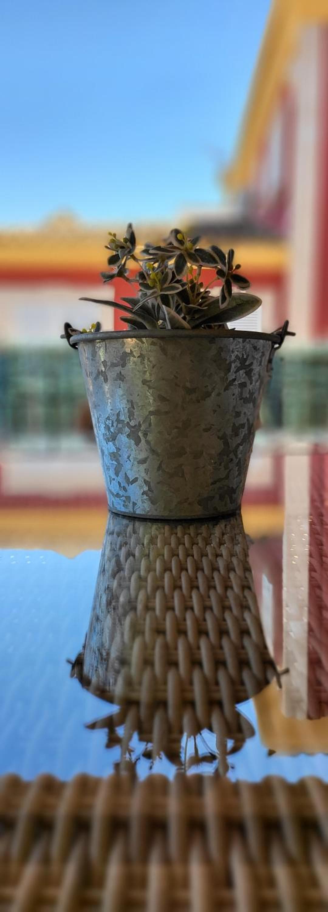 Villa Playa Felostal — 29