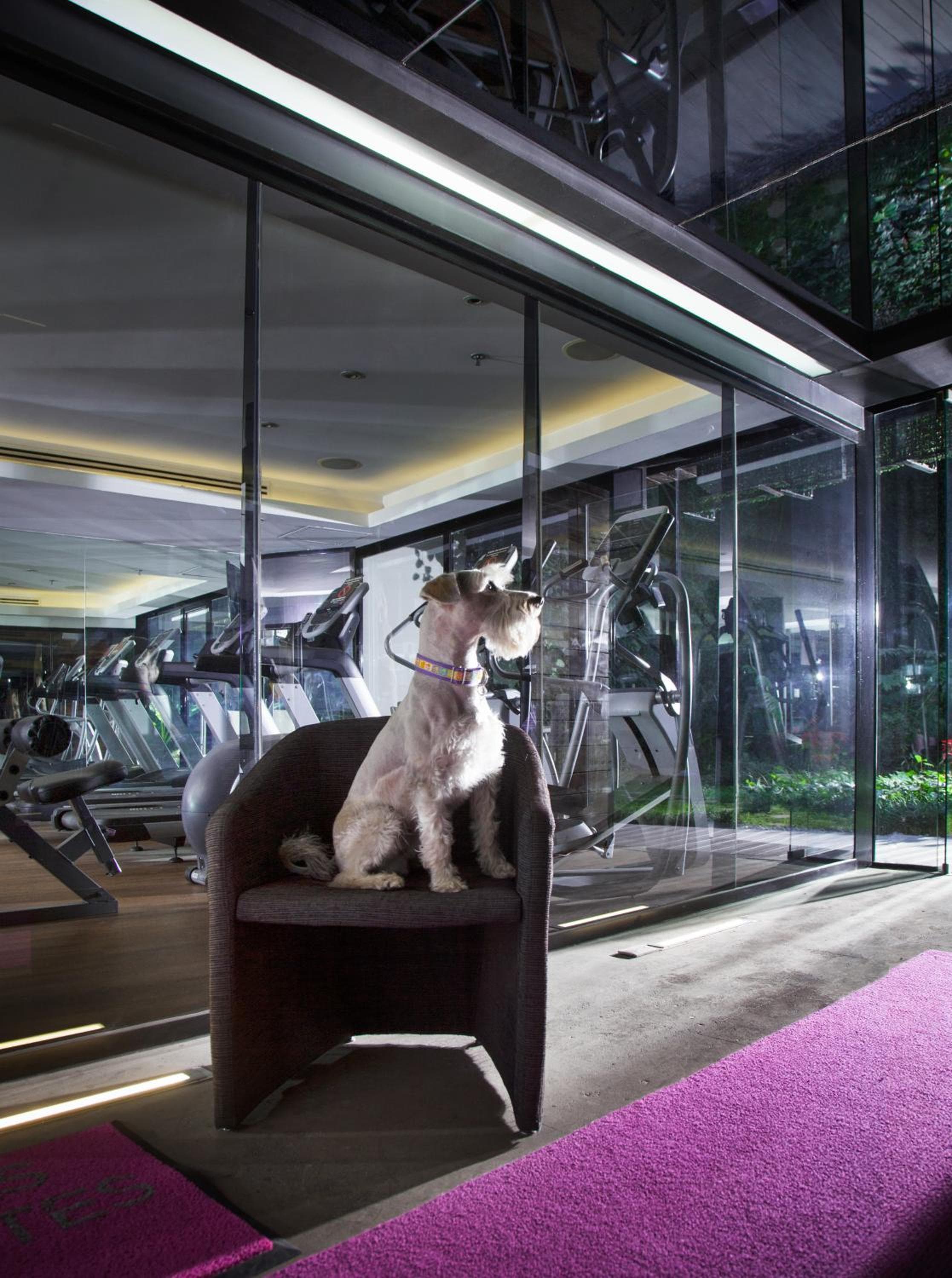 Las Suites Campos Eliseos — 9