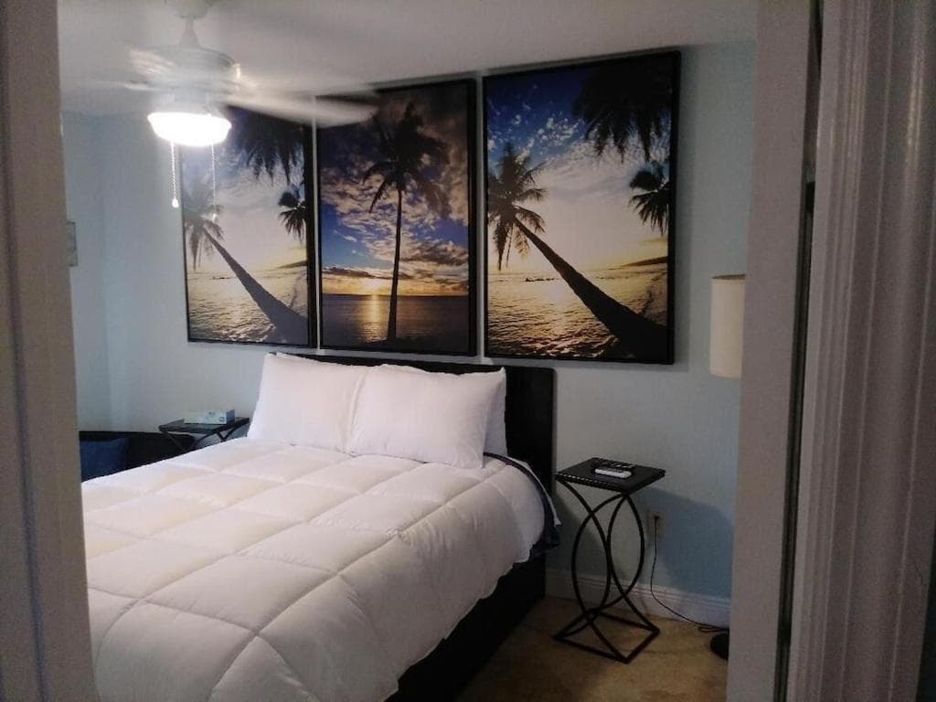 Tampa Bay beautiful apartment and private jacuzzi — 18