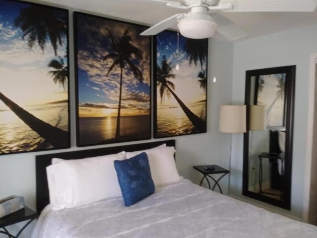 Tampa Bay beautiful apartment and private jacuzzi — 16