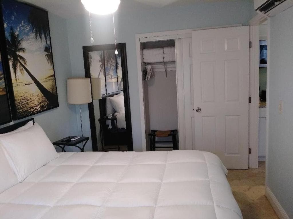 Tampa Bay beautiful apartment and private jacuzzi — 15