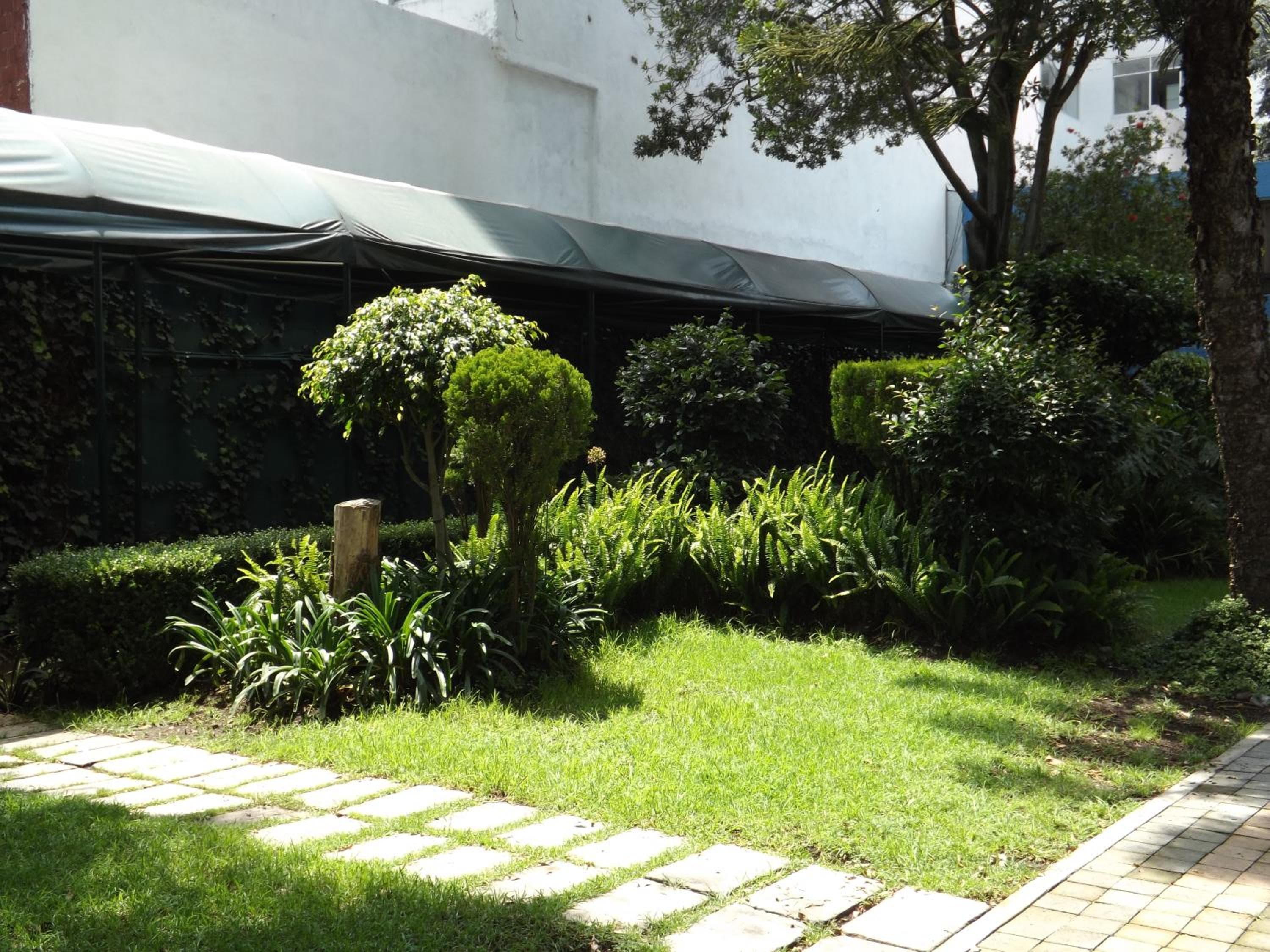 Pedregal Palace — 18