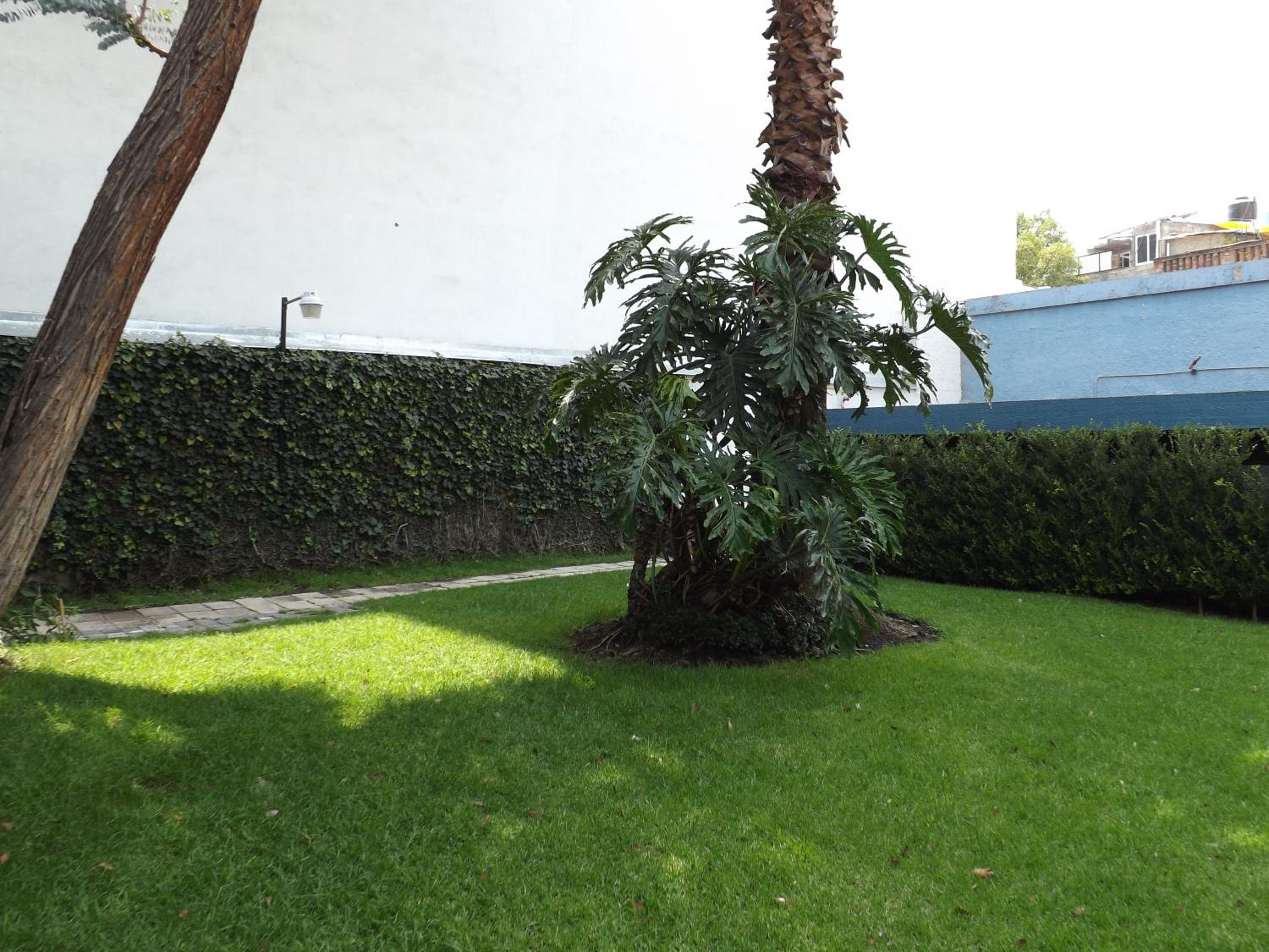 Pedregal Palace — 17