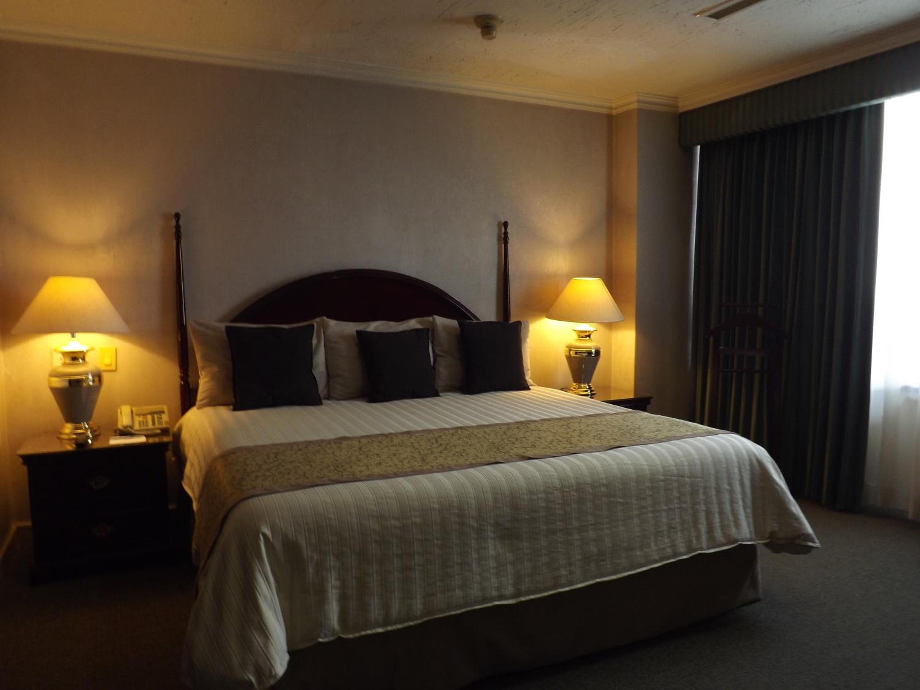 Pedregal Palace — 15