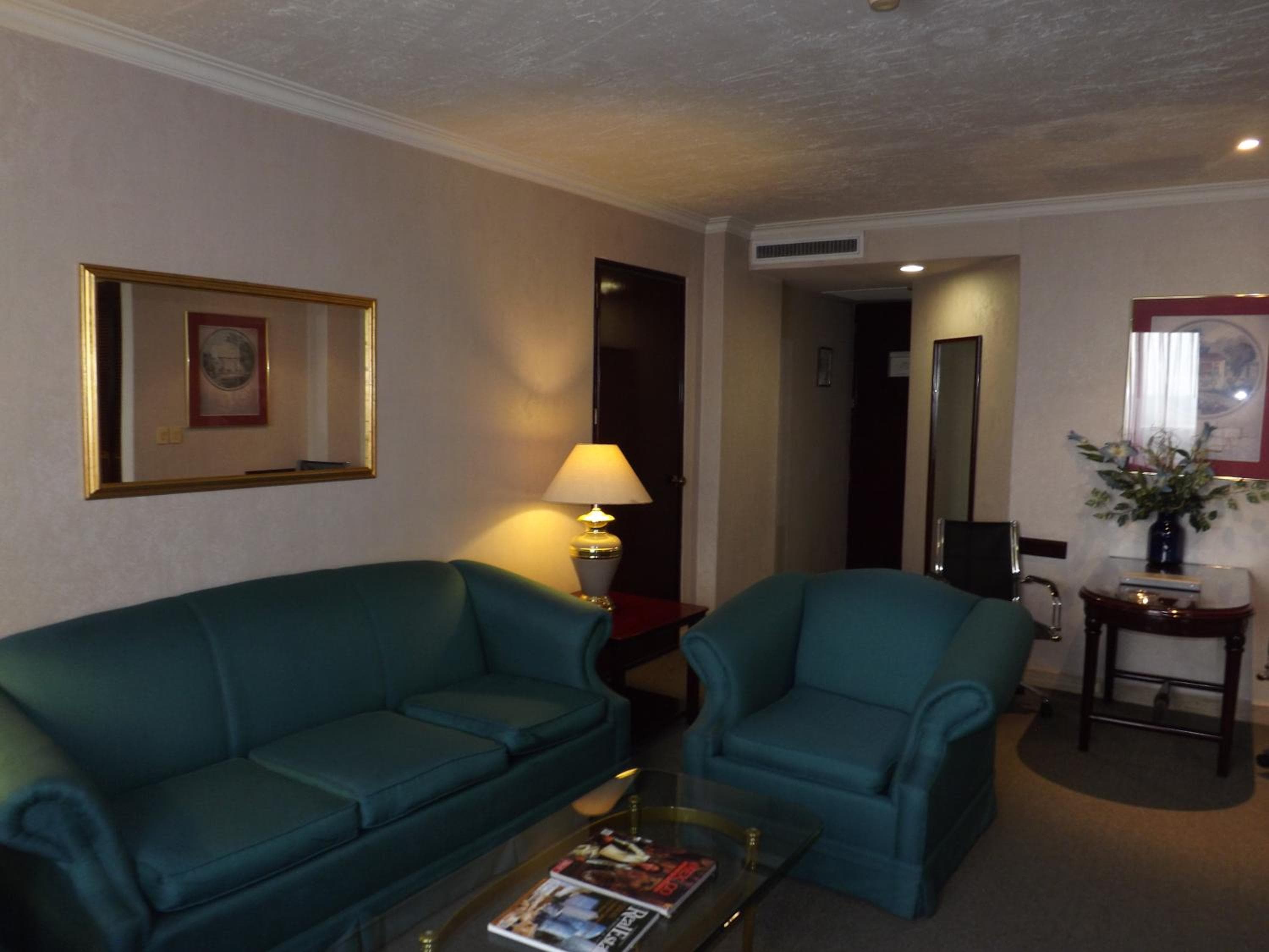 Pedregal Palace — 21