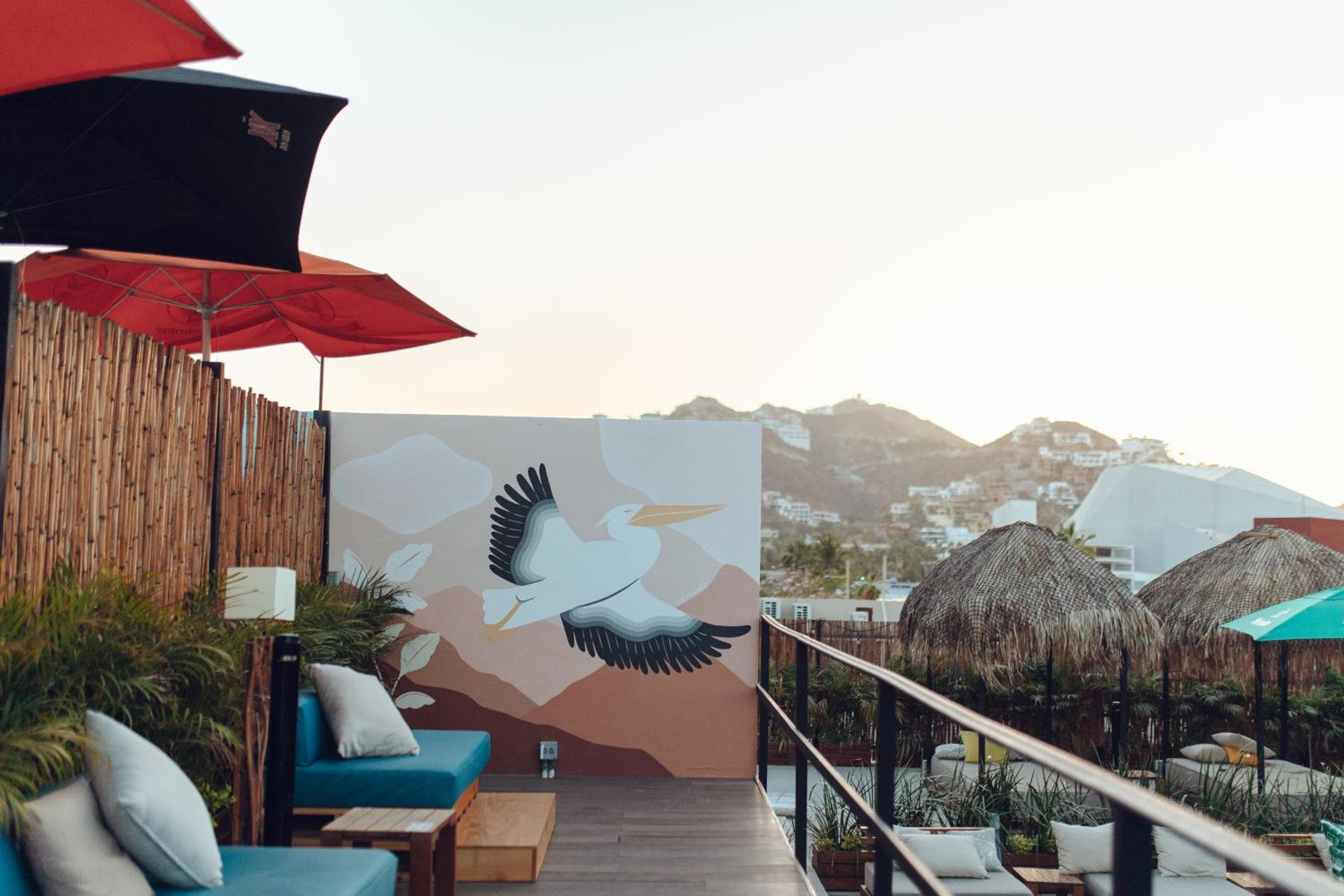 Mayan Monkey Los Cabos - Social Hostel — 21