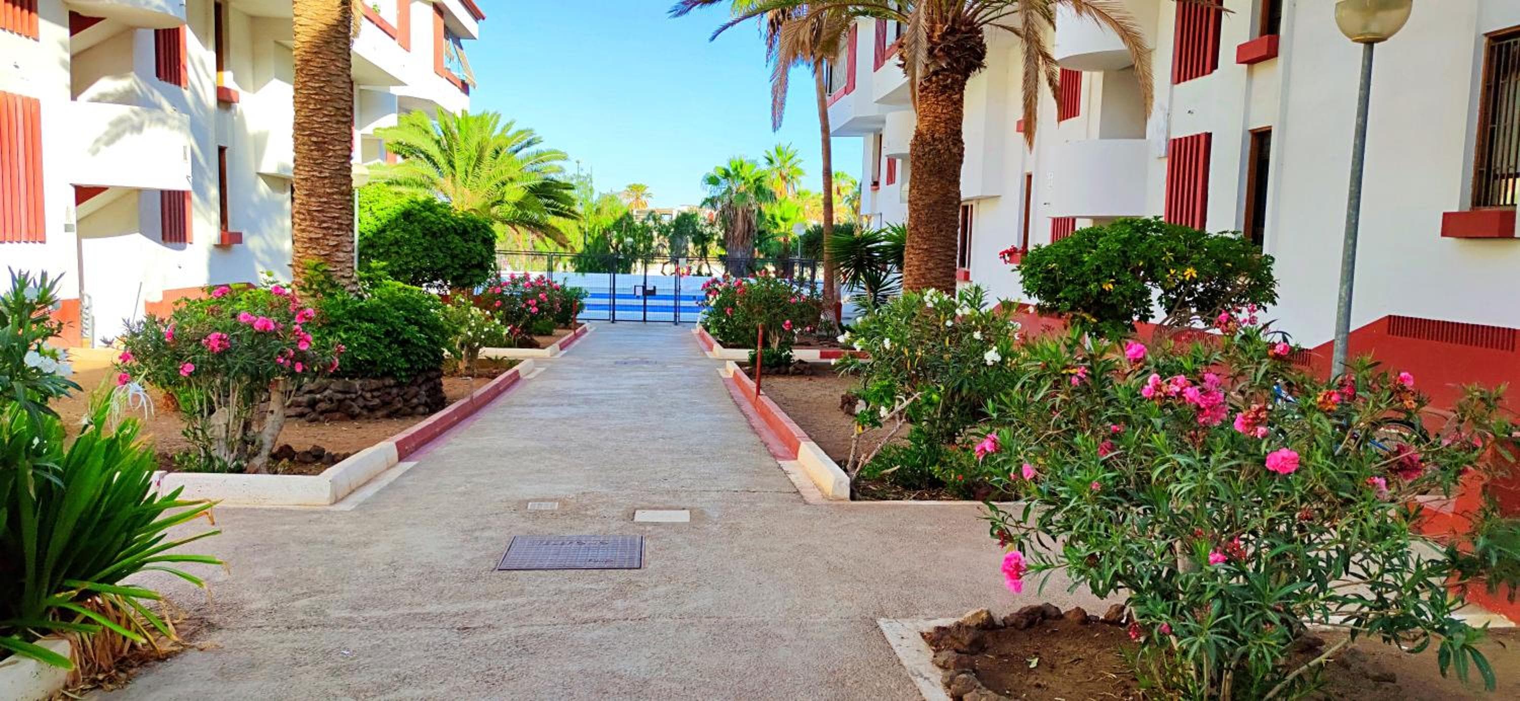 Playa de las Americas 600mt from the beach internet free — 2