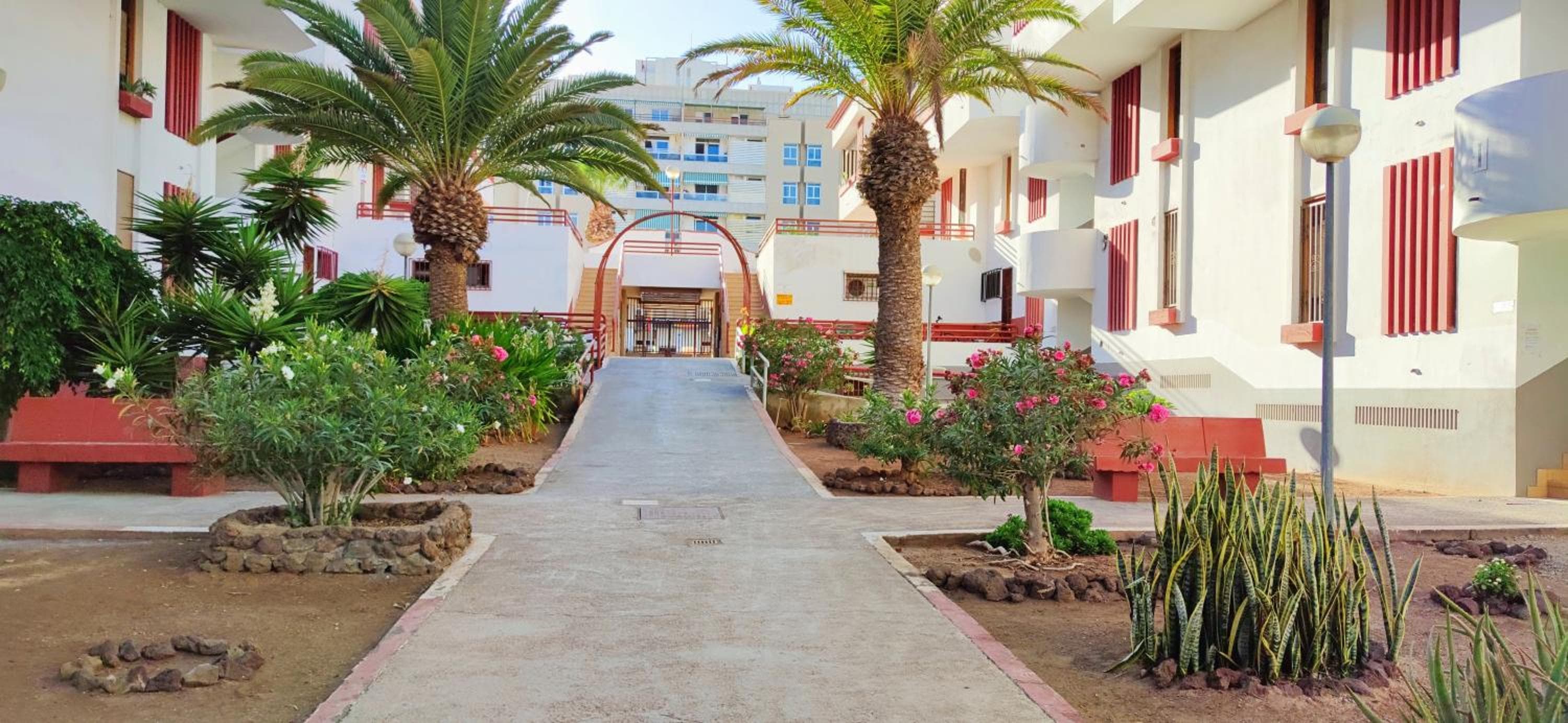 Playa de las Americas 600mt from the beach internet free — 1