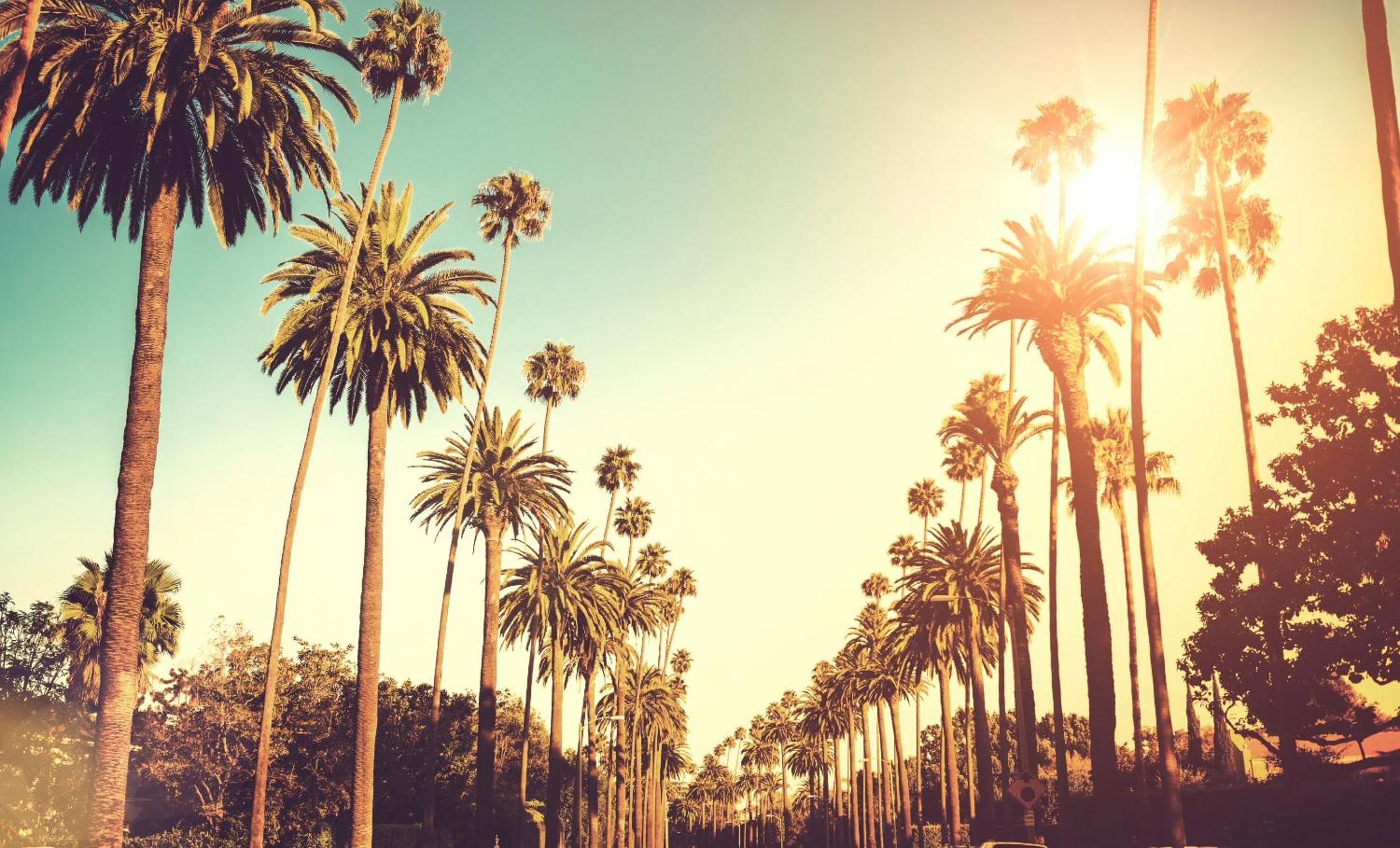 Kimpton Hotel Wilshire, un hotel IHG — 28