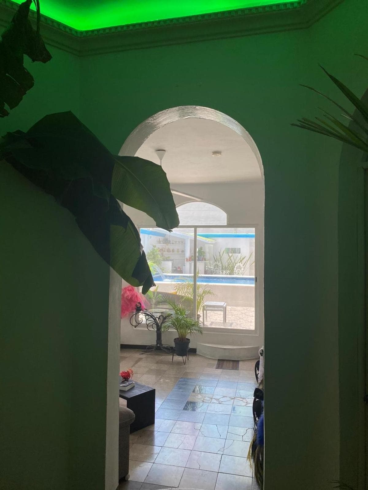 The Quetzal — 11
