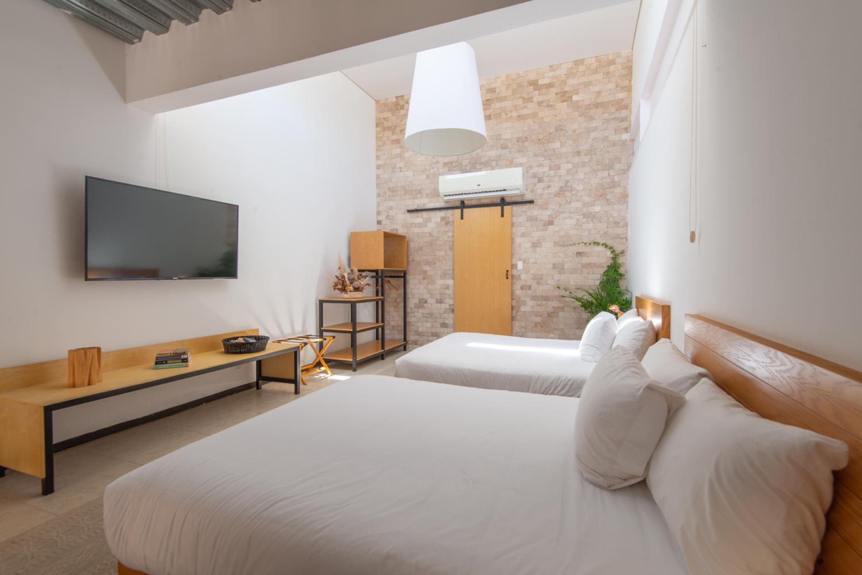 Mayan Monkey Los Cabos - Social Hostel — 16