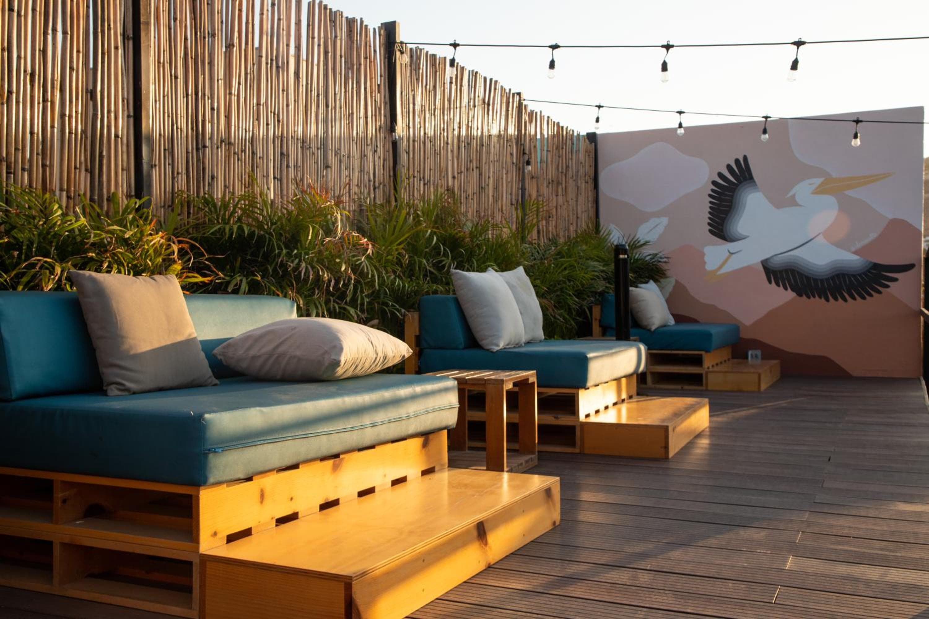Mayan Monkey Los Cabos - Social Hostel — 30