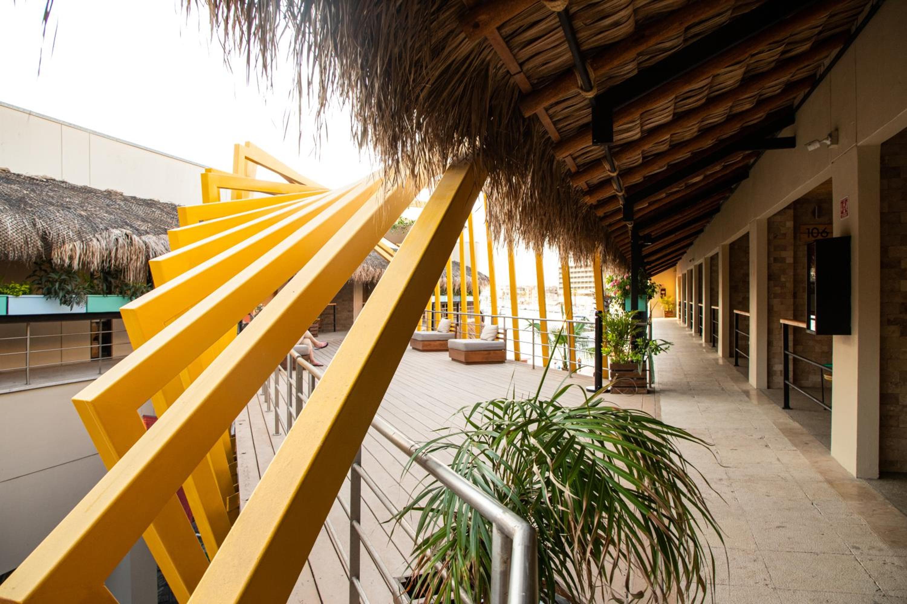 Mayan Monkey Los Cabos - Social Hostel — 4