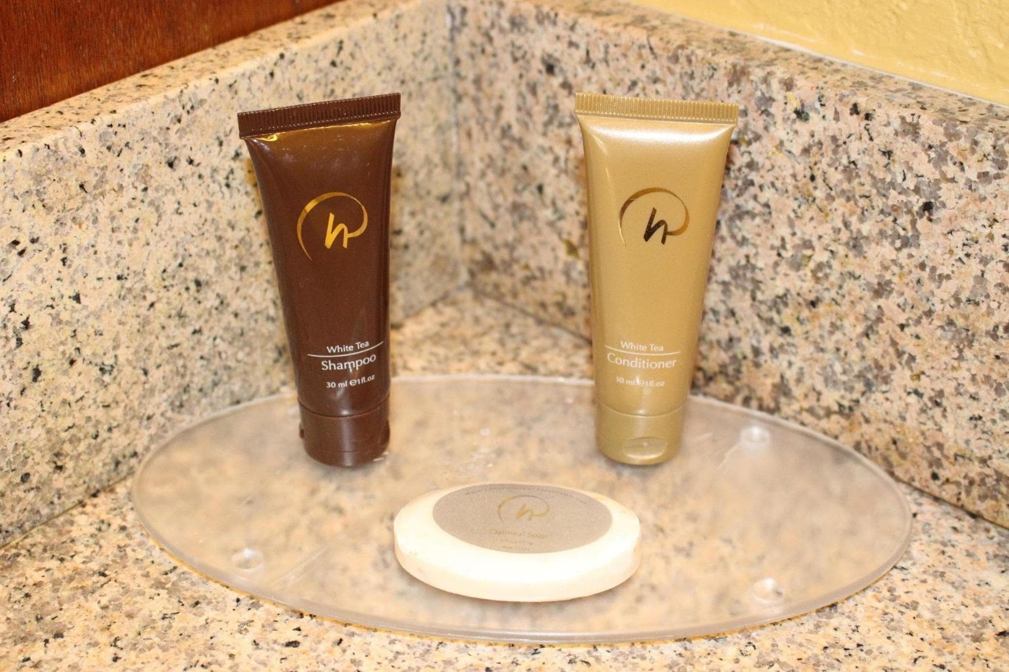 Rosen Inn International Near The Parks — 22