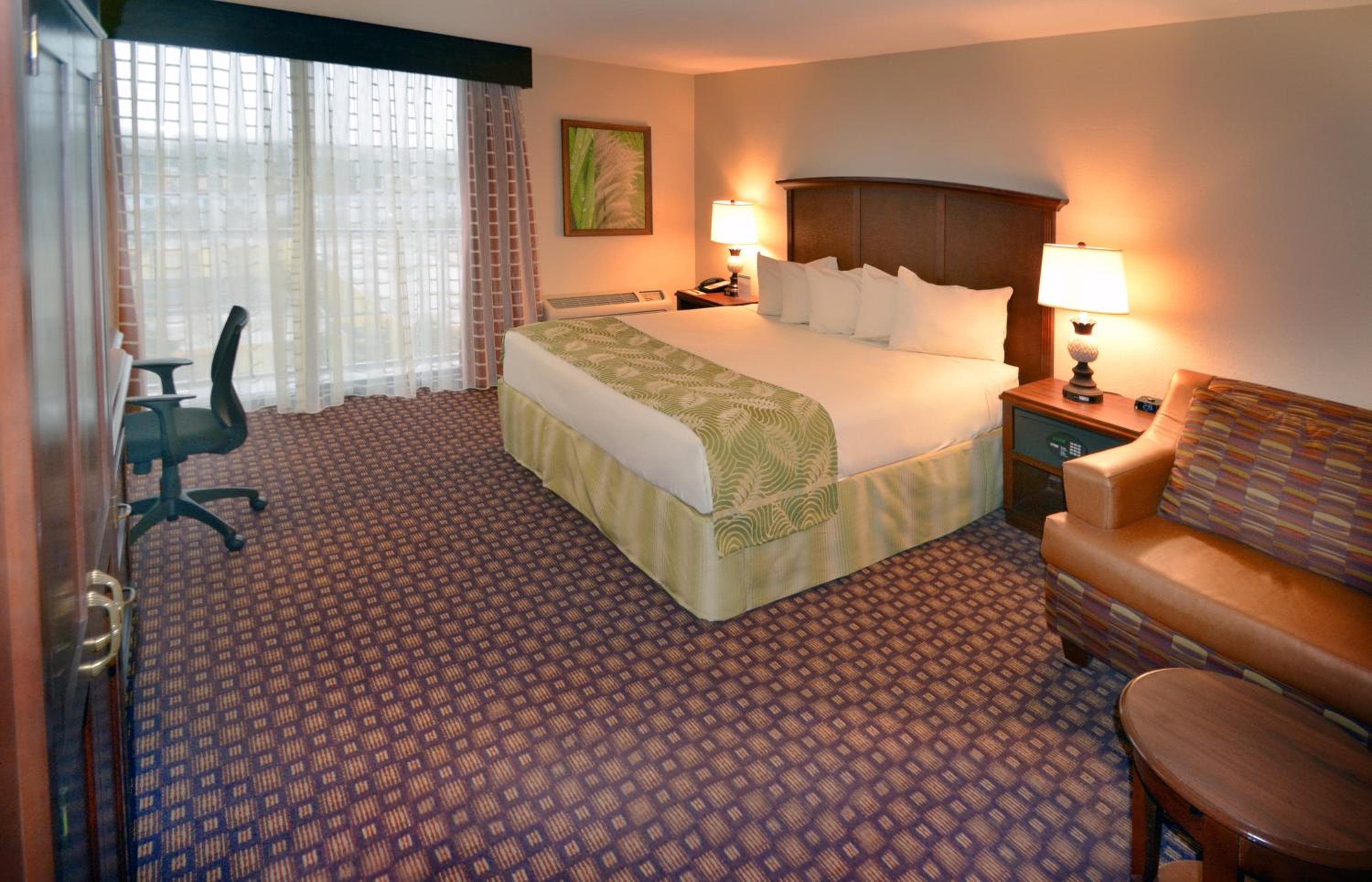 Rosen Inn Il più vicino alla Universal — 25