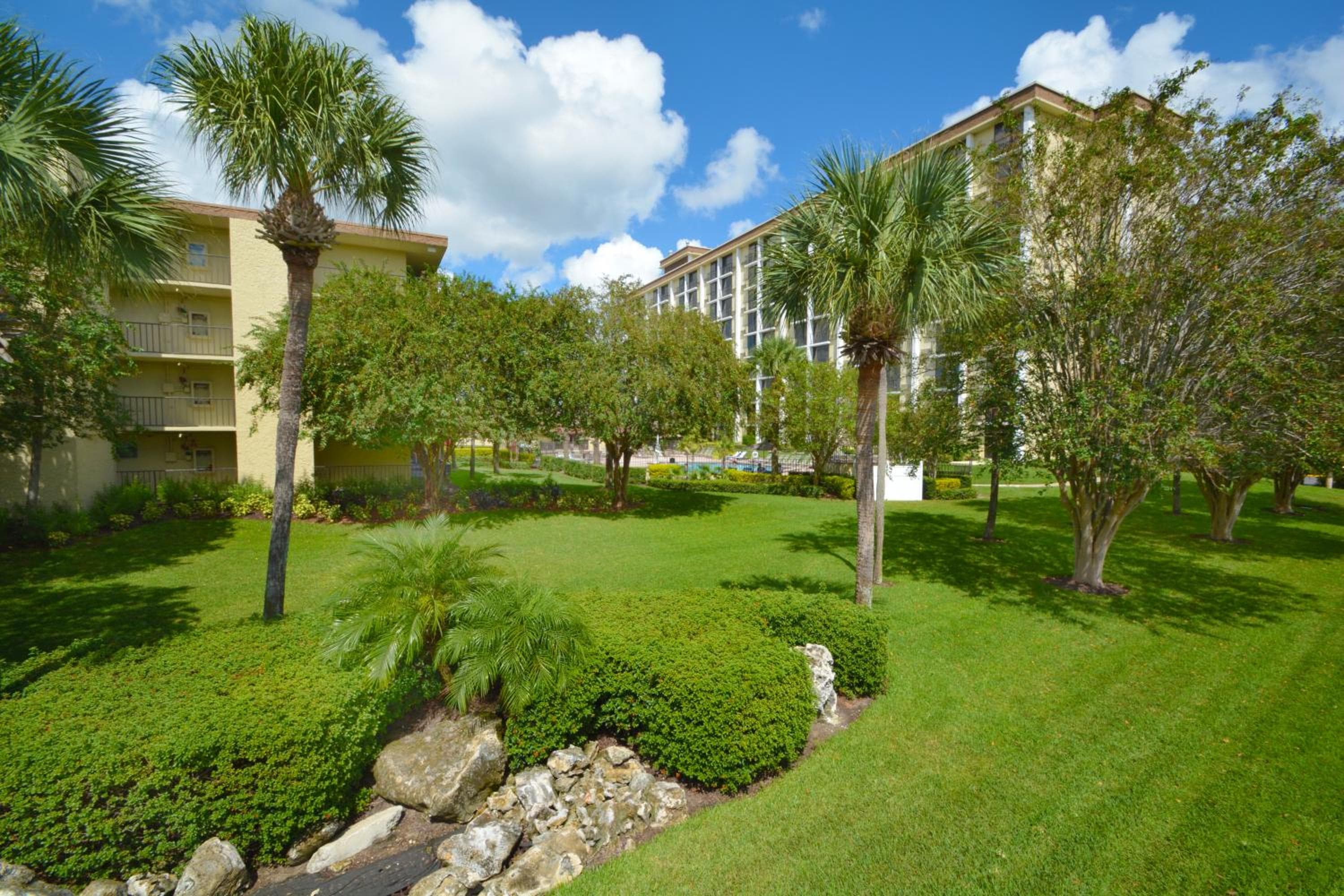 Rosen Inn Il più vicino alla Universal — 4