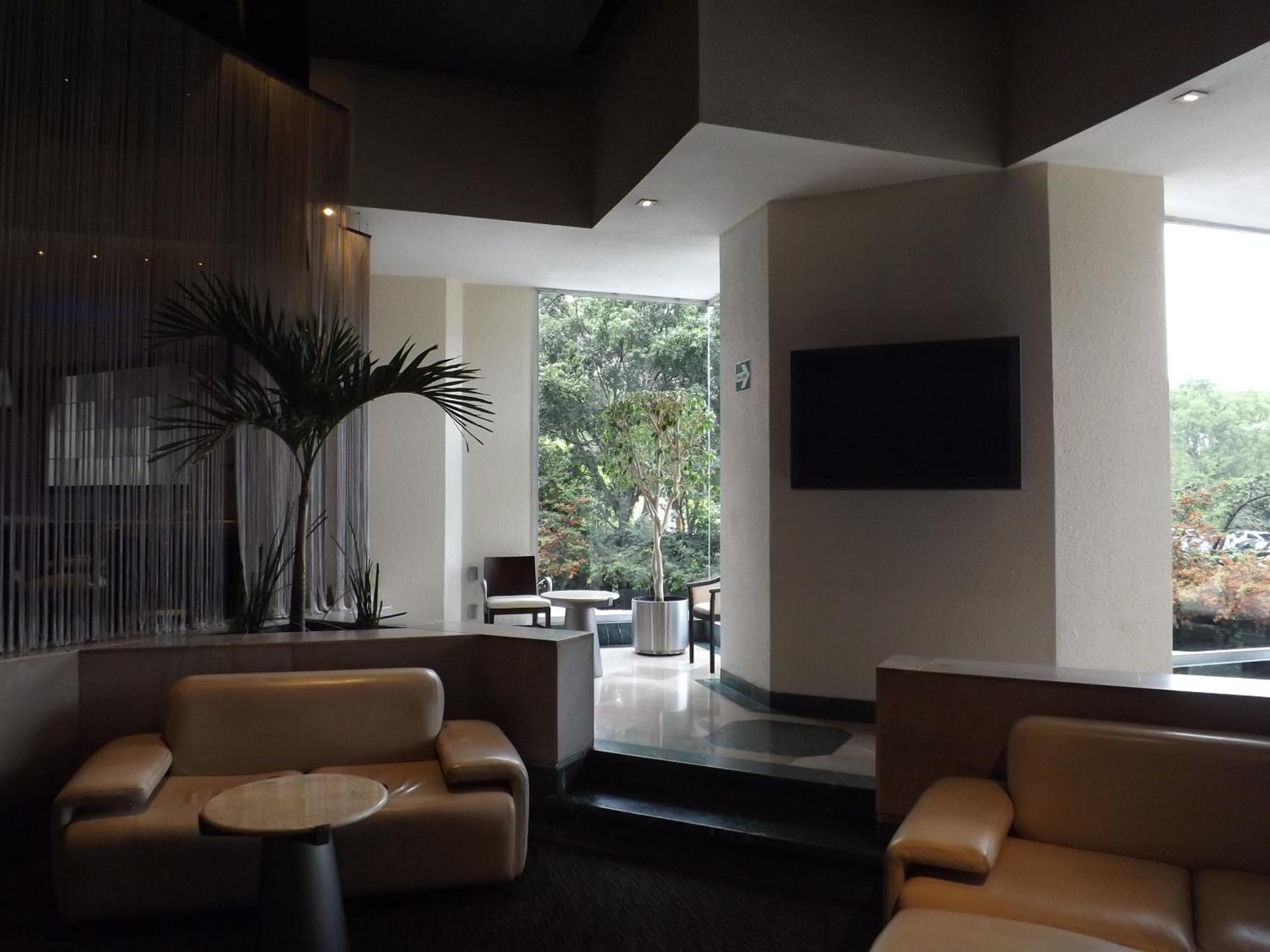 Royal Pedregal — 15