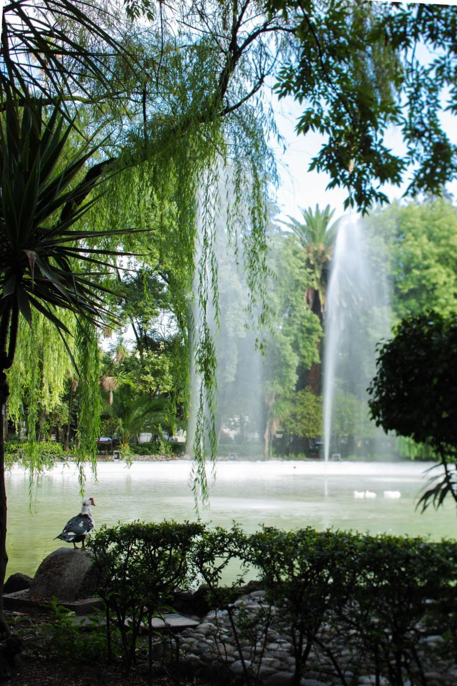 Hotel Parque México Boutique — 27