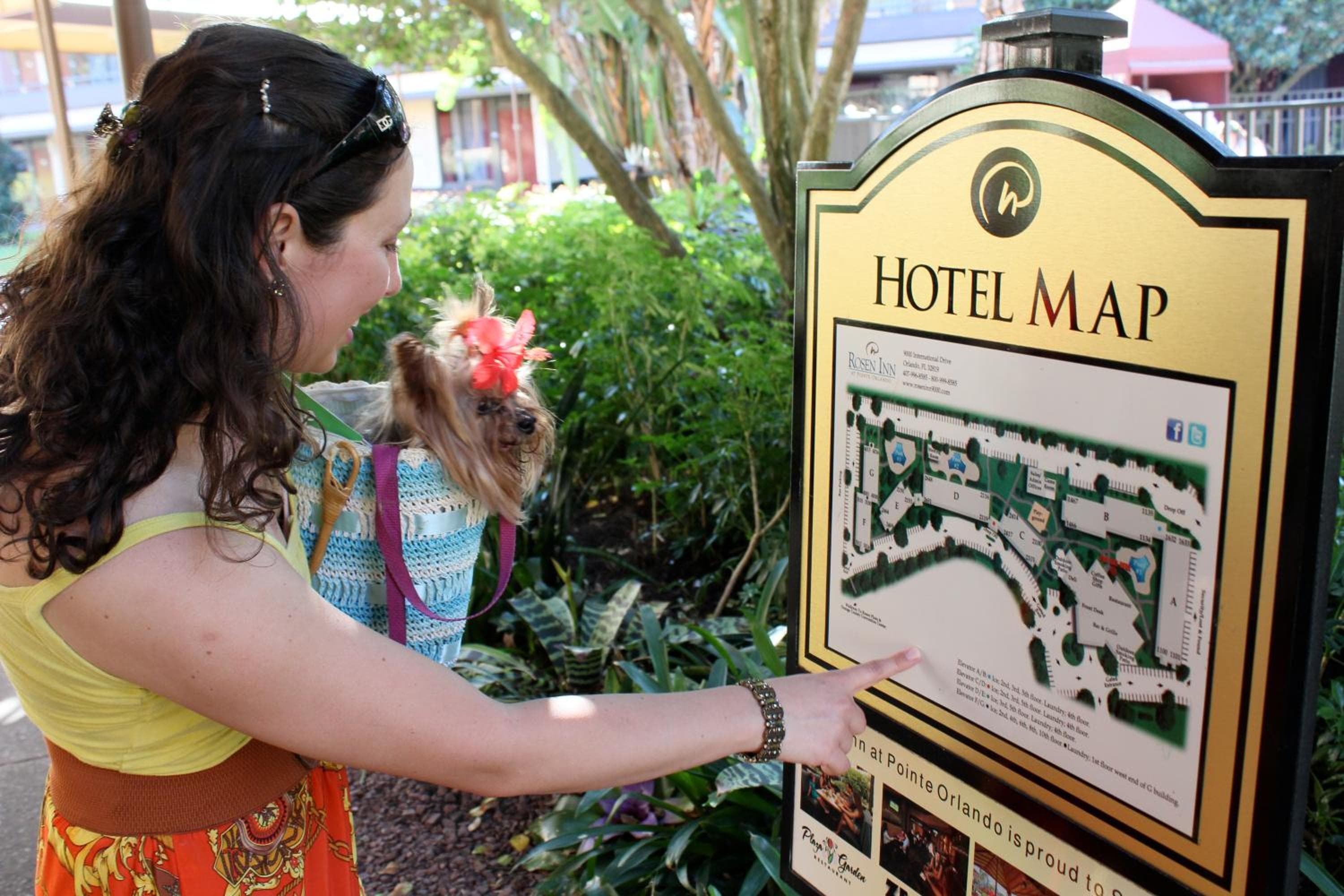 Rosen Inn a Pointe Orlando — 10