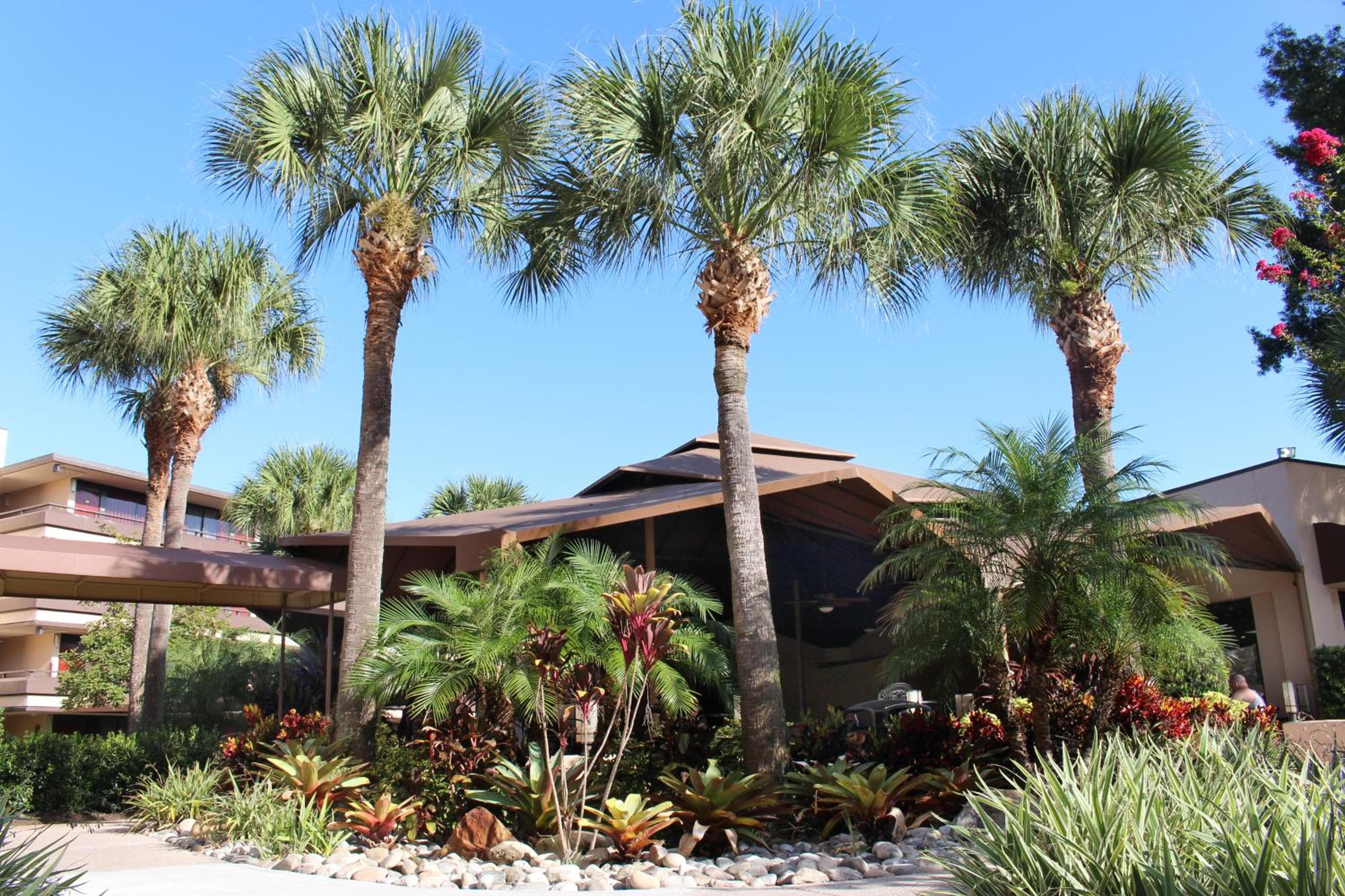 Rosen Inn a Pointe Orlando — 11