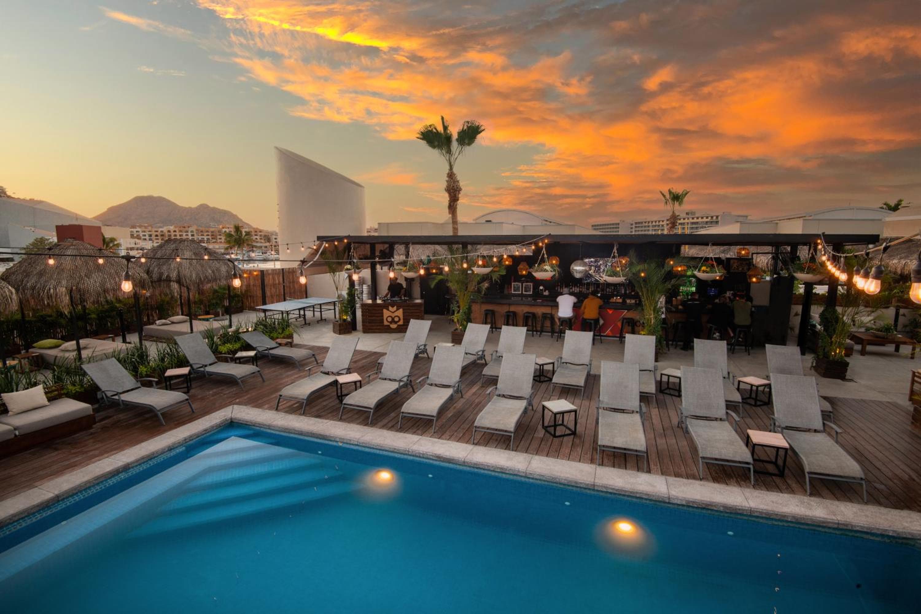 Mayan Monkey Los Cabos - Social Hostel — 22