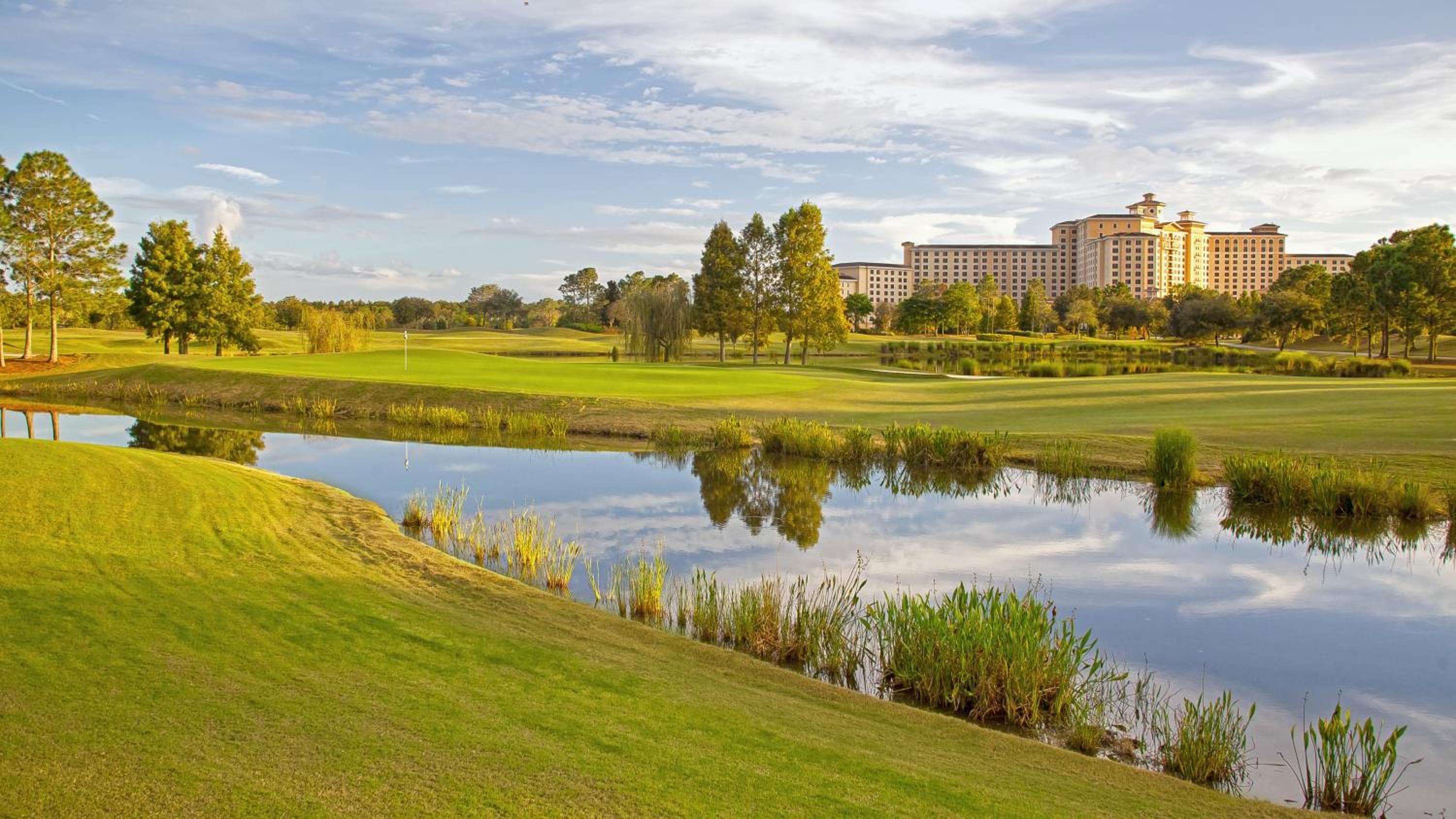 Rosen Shingle Creek Universal Blvd — 2