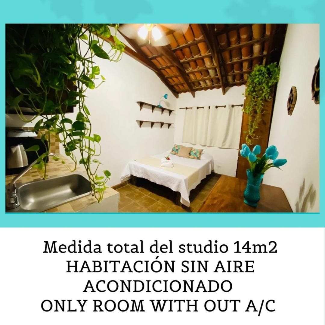 CABO BOHEMIA Tropical Garden Studios — 7