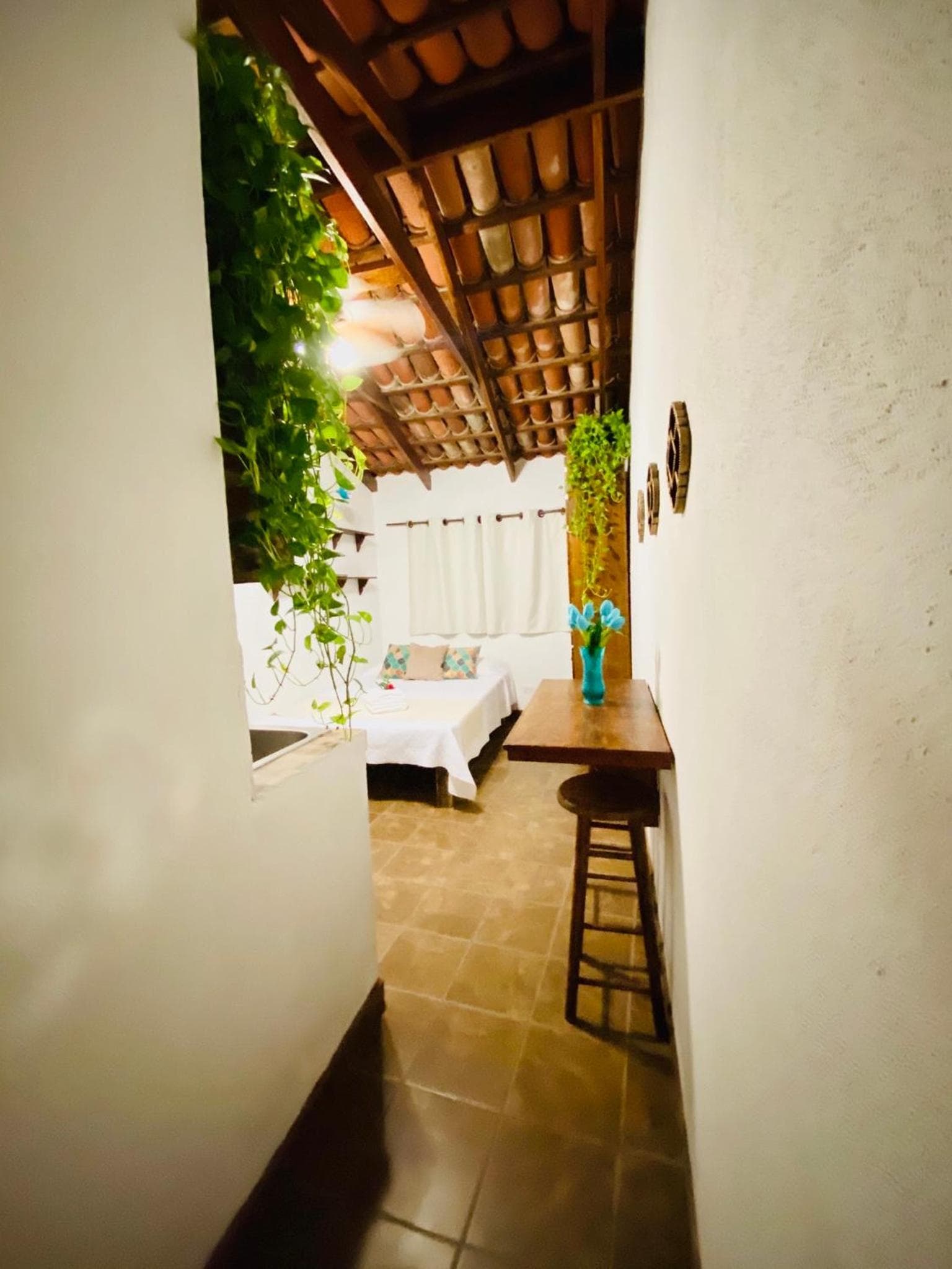 CABO BOHEMIA Tropical Garden Studios — 8