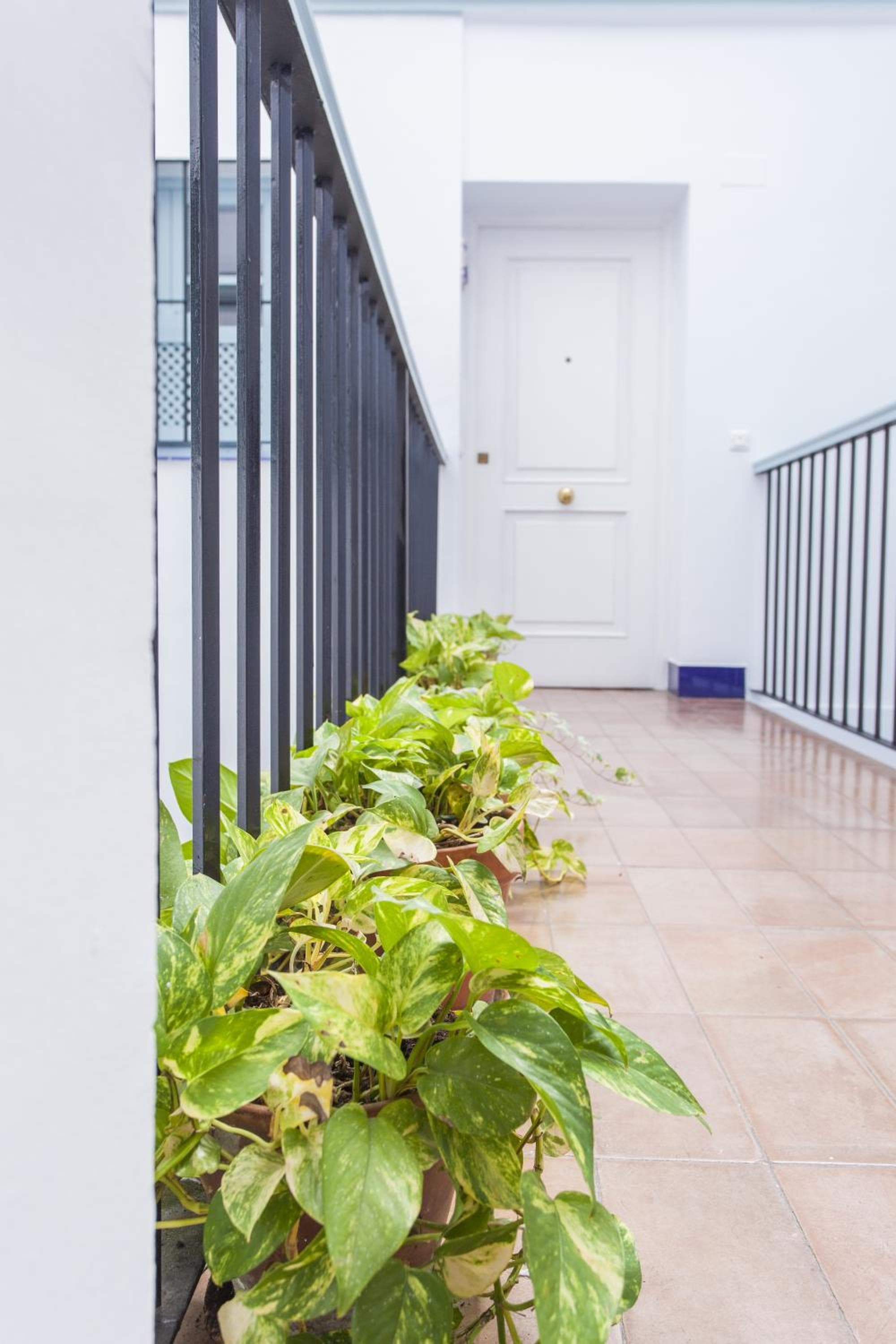 Apartamentos Suites Santa Cruz — 24