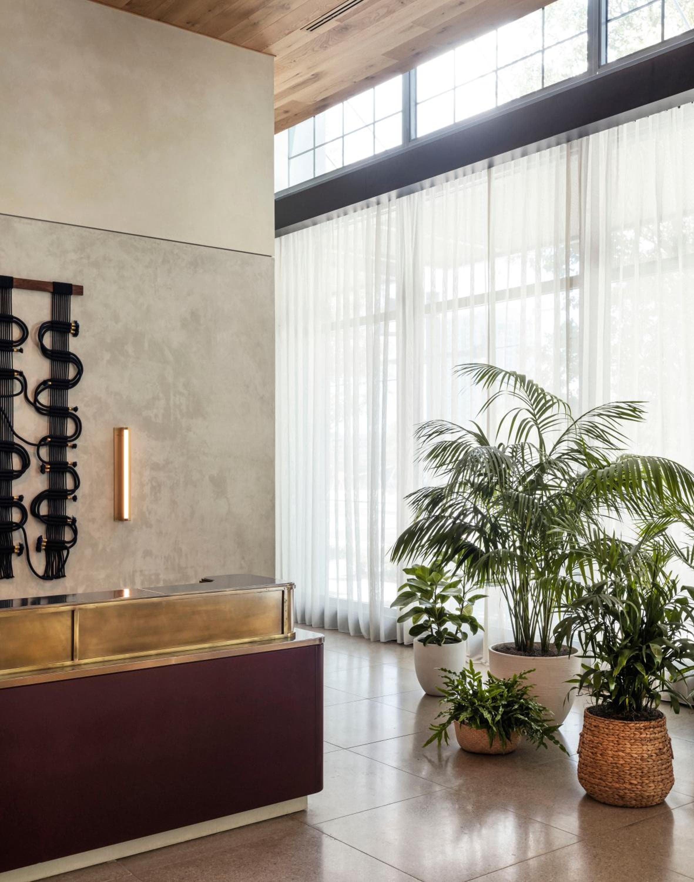 RUGGINE Tampa — 17