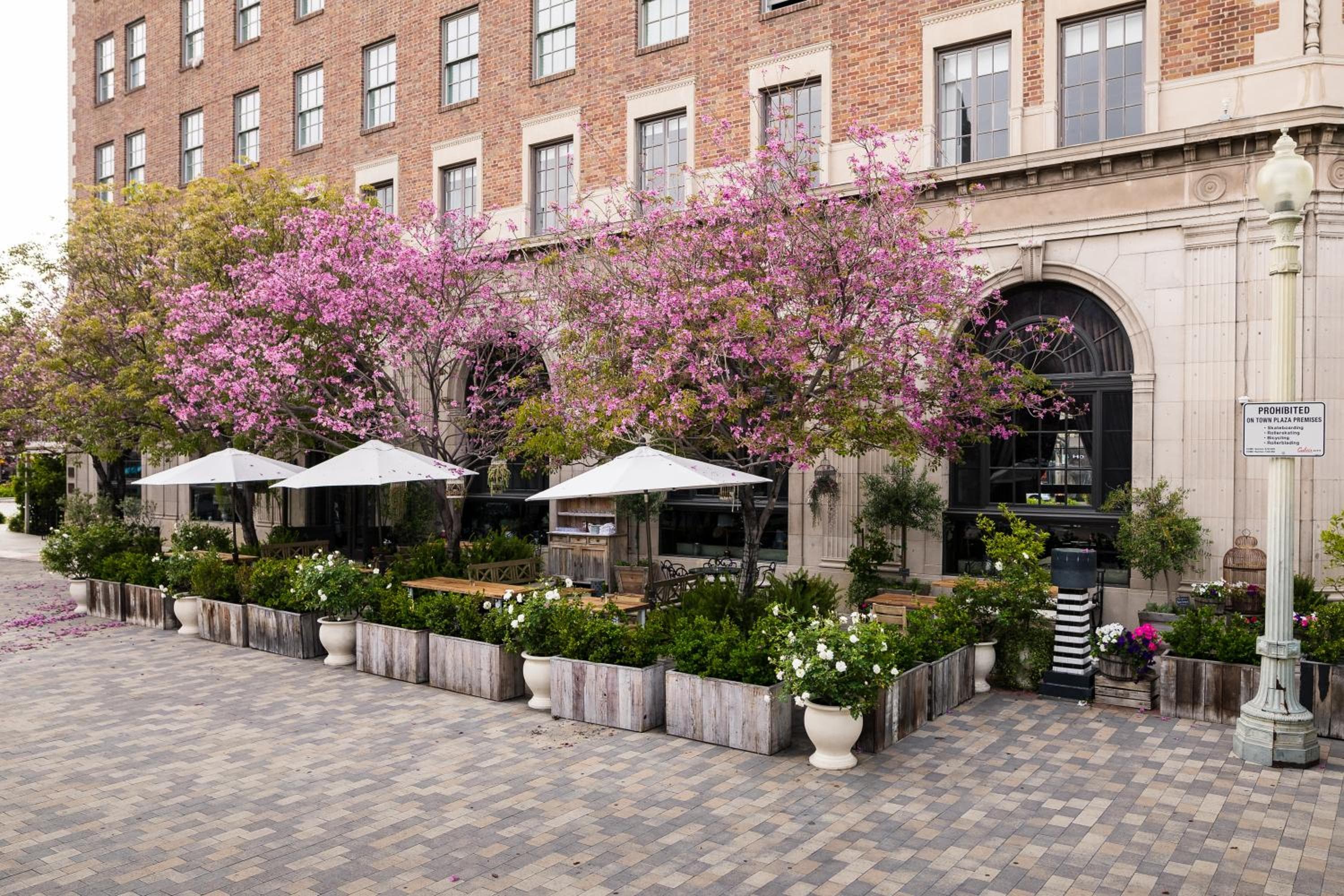The Culver Hotel — 12