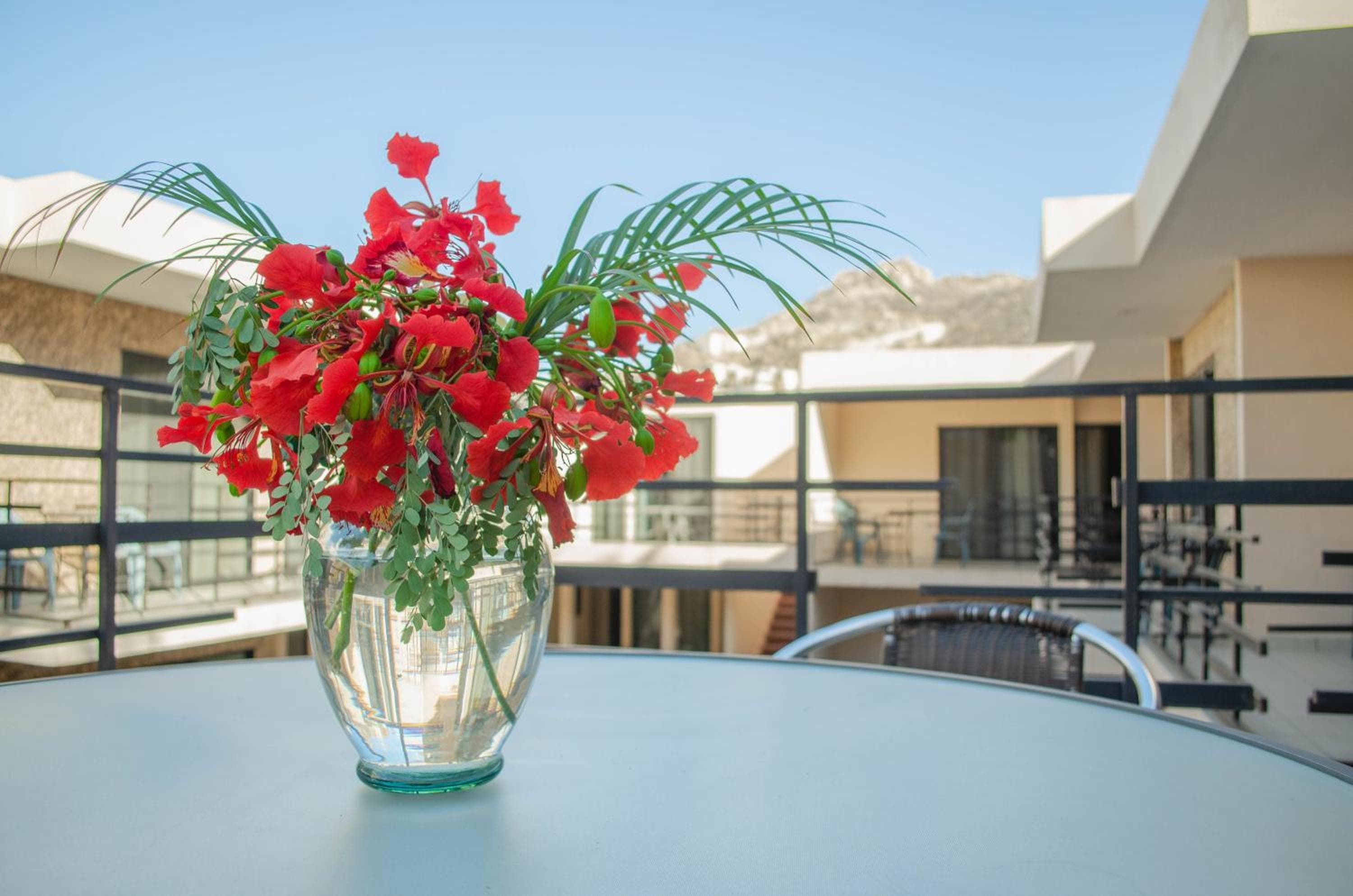 Pedregal Suites - Marina and Downtown — 13