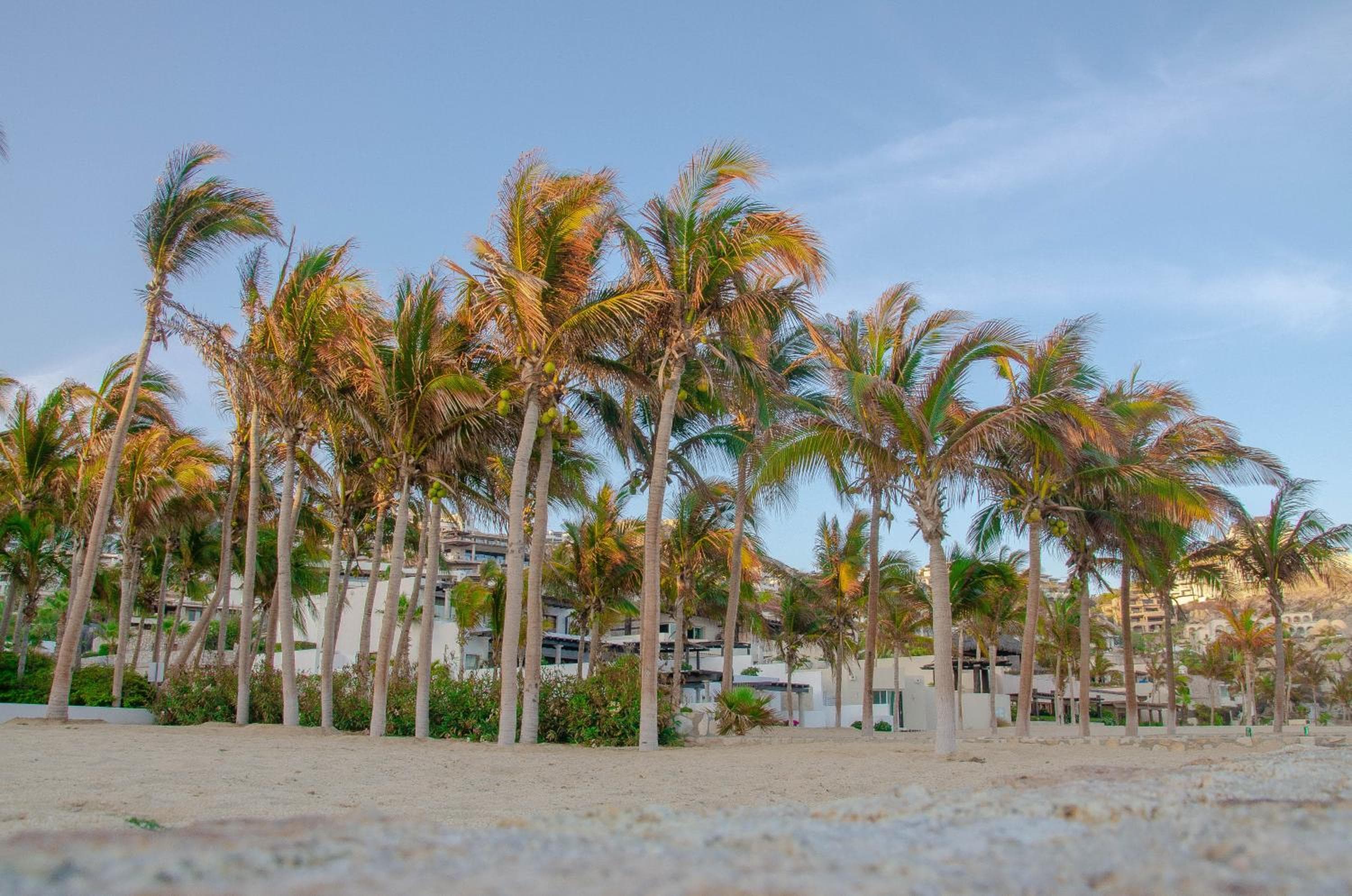 Pedregal Suites - Marina and Downtown — 13