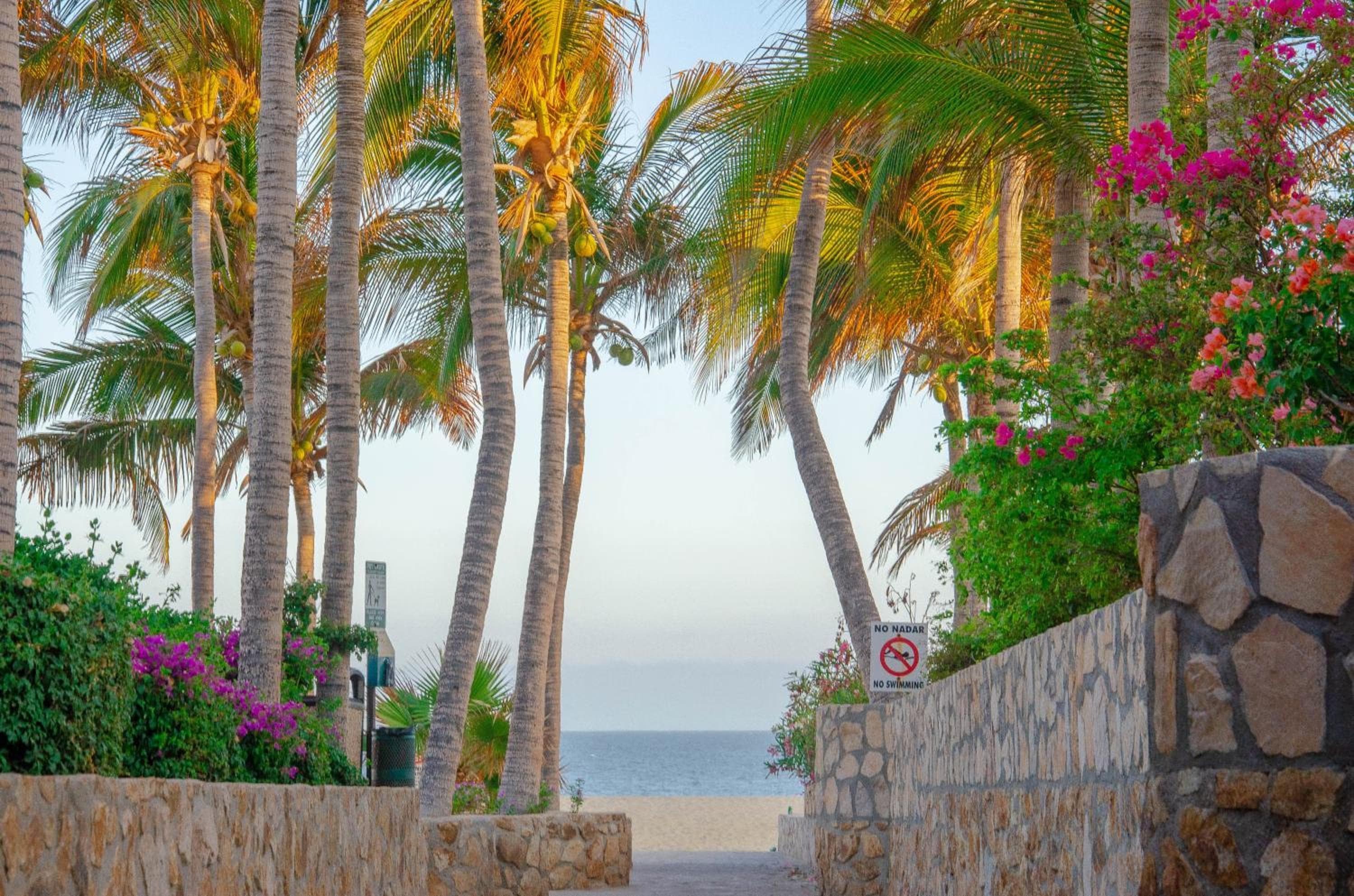 Pedregal Suites - Marina and Downtown — 9