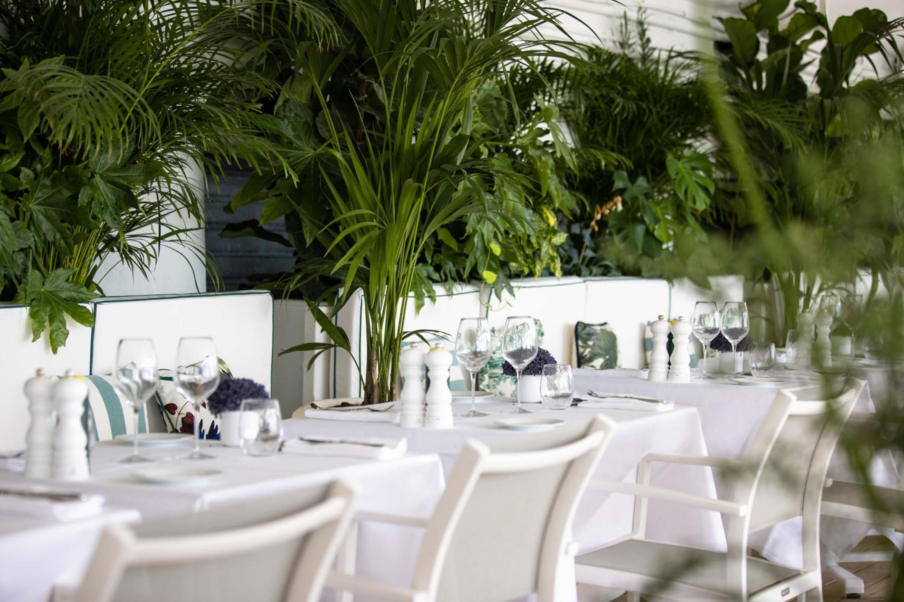 Hotel Le Negresco — 14
